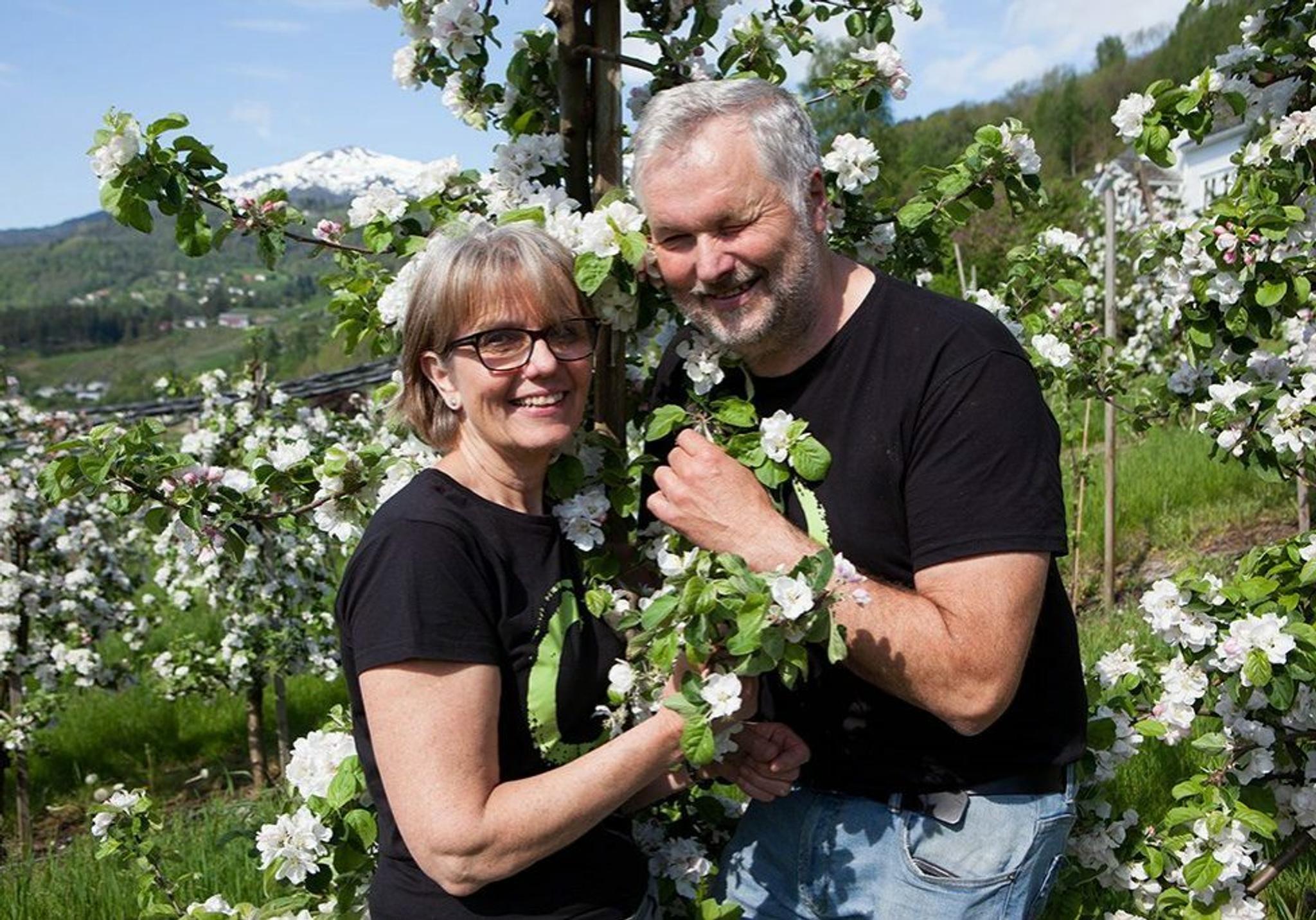 Apfelbauern von Ulvik Frukt & Cideri genießen den Frühling in Hardangers wunderschönem Obstgarten.