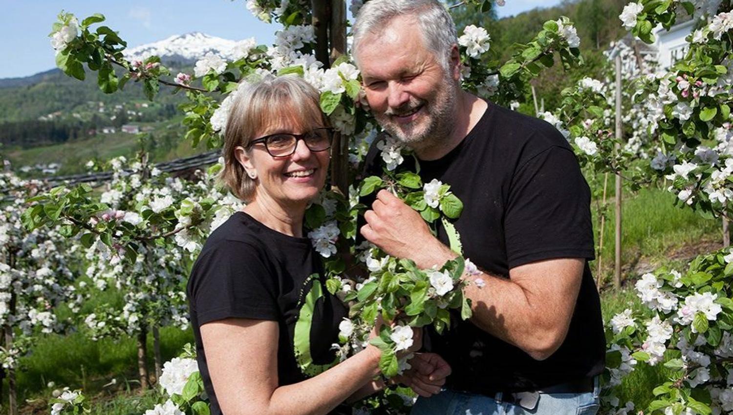 Apple farmers from Ulvik Frukt & Cideri enjoy the spring in Hardanger’s beautiful orchard.