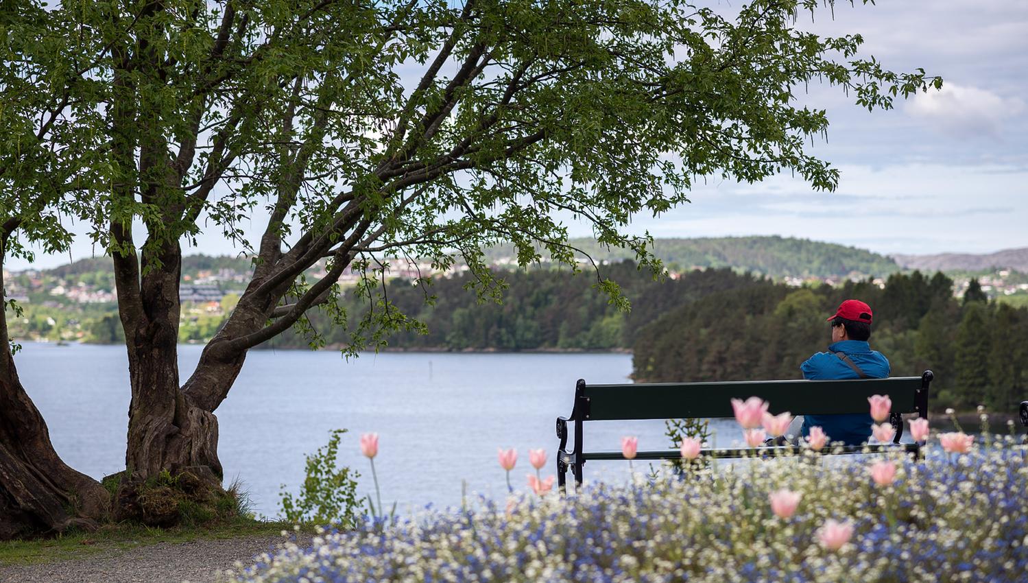 Troldhaugen: Edvard Griegs hjem