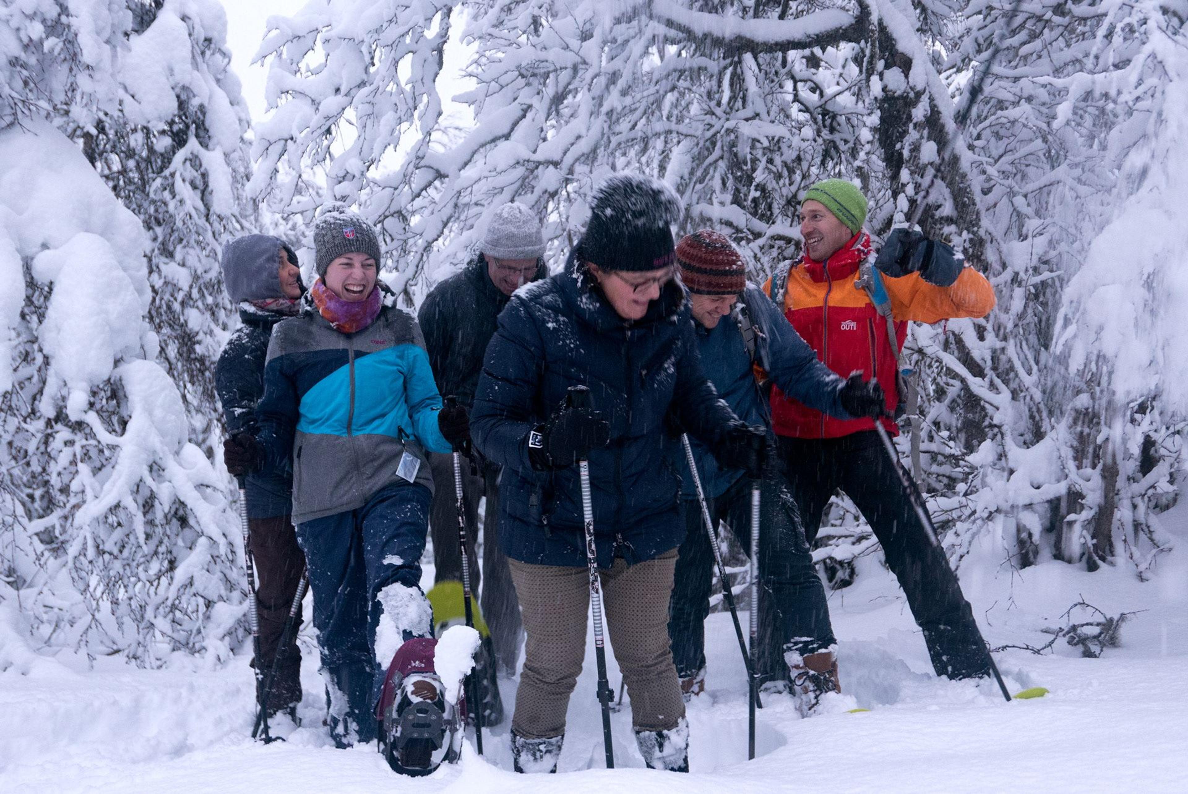 People snowshoeing through a snow-covered forest with winter gear and poles.