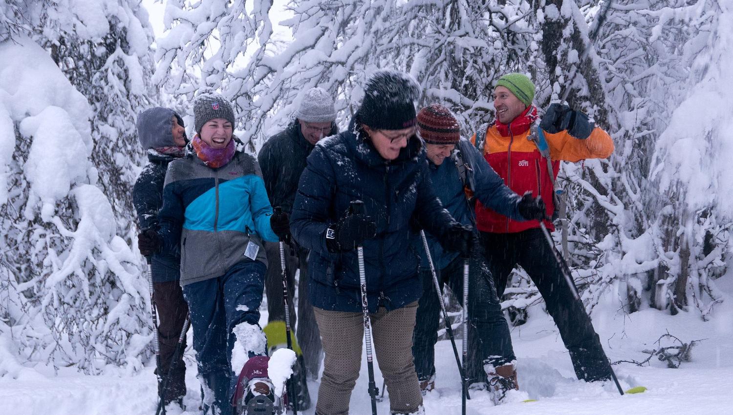 People snowshoeing through a snow-covered forest with winter gear and poles.