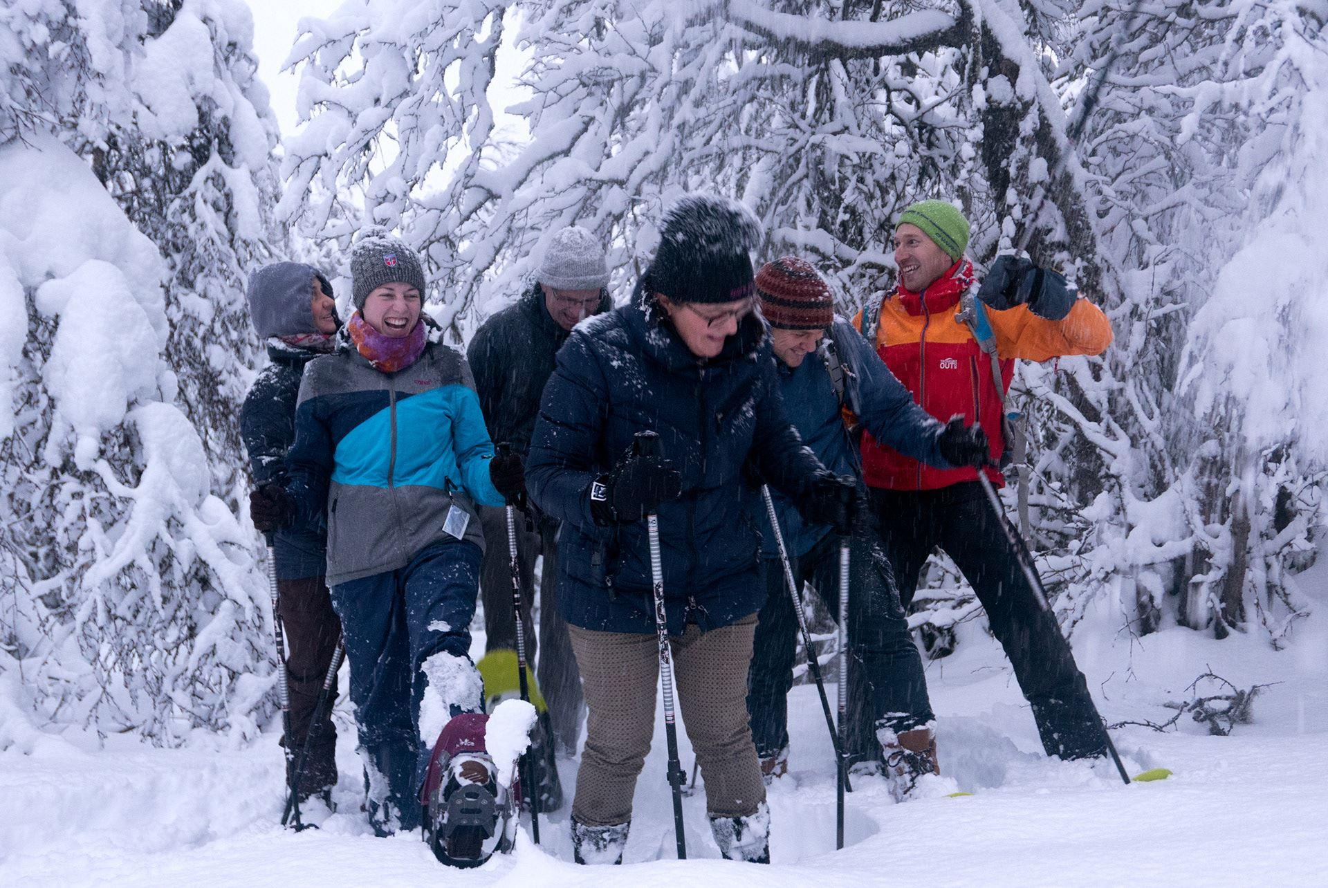 People snowshoeing through a snow-covered forest with winter gear and poles.