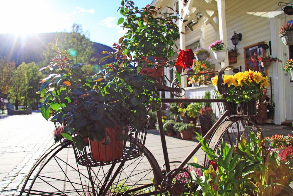 mange blomster foran et hus på Dalen