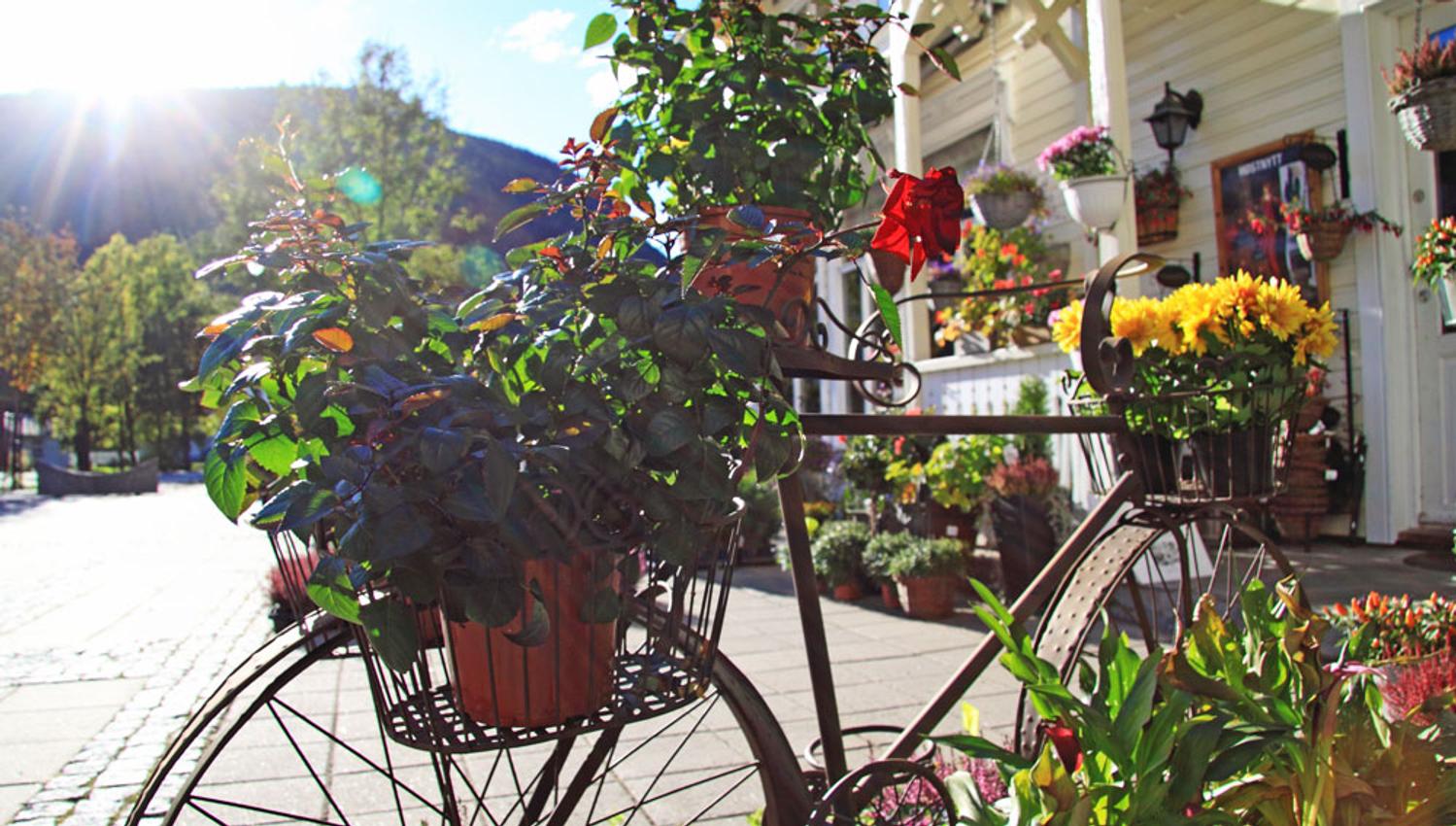 mange blomster foran et hus på Dalen