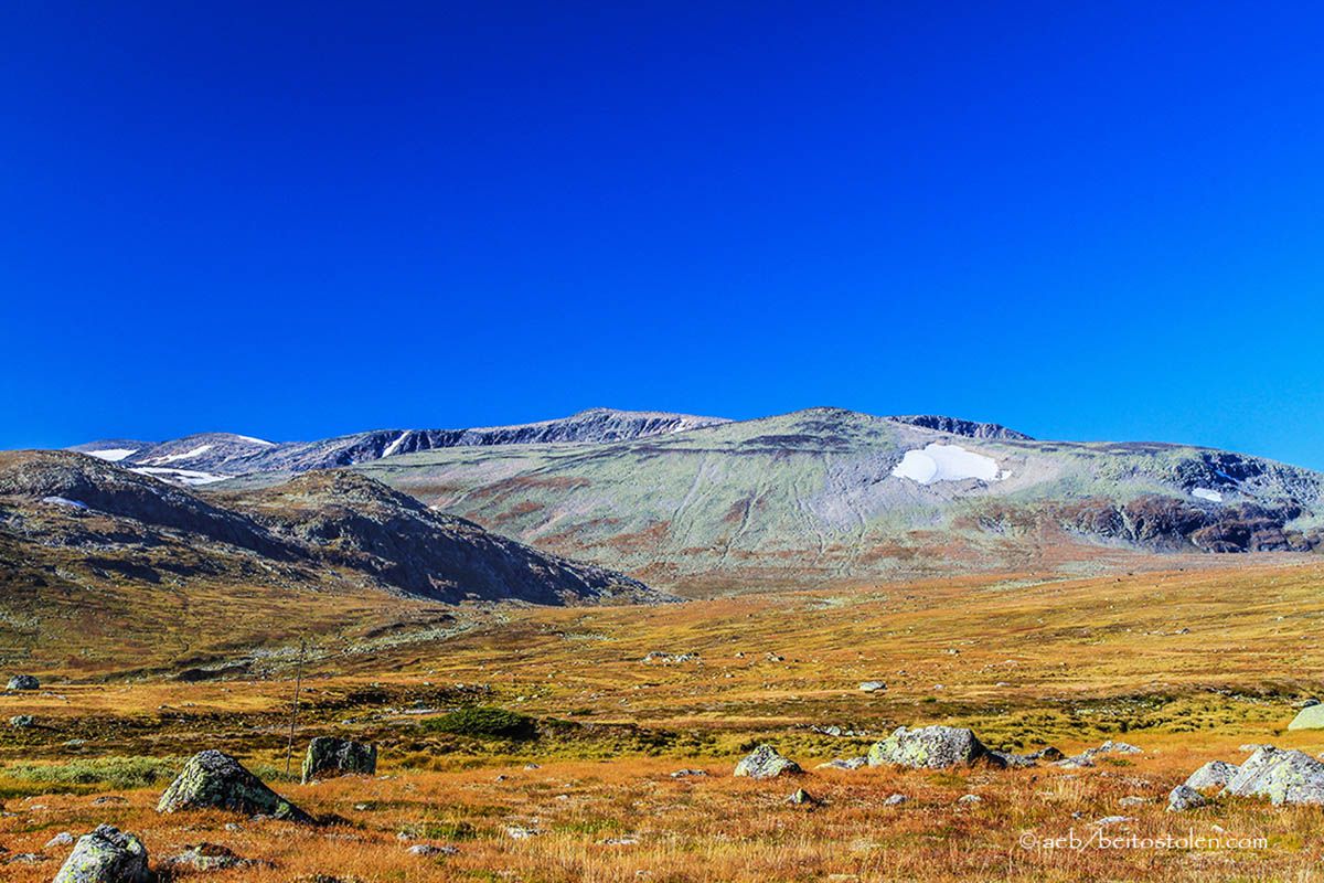 web_Rasletinden fra Fv 51_Aud Eva Bergo