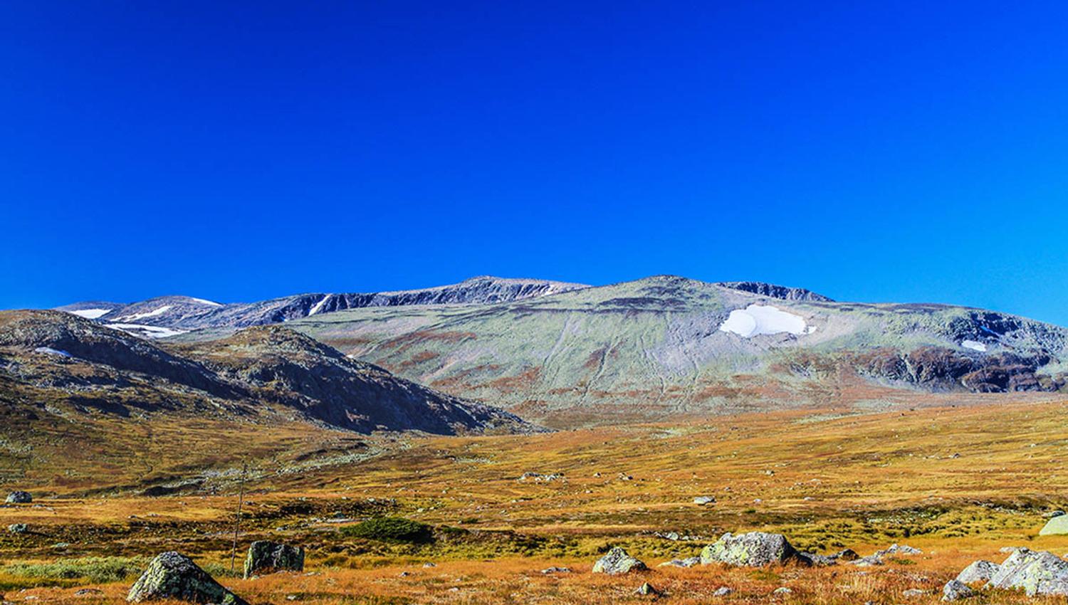 web_Rasletinden fra Fv 51_Aud Eva Bergo