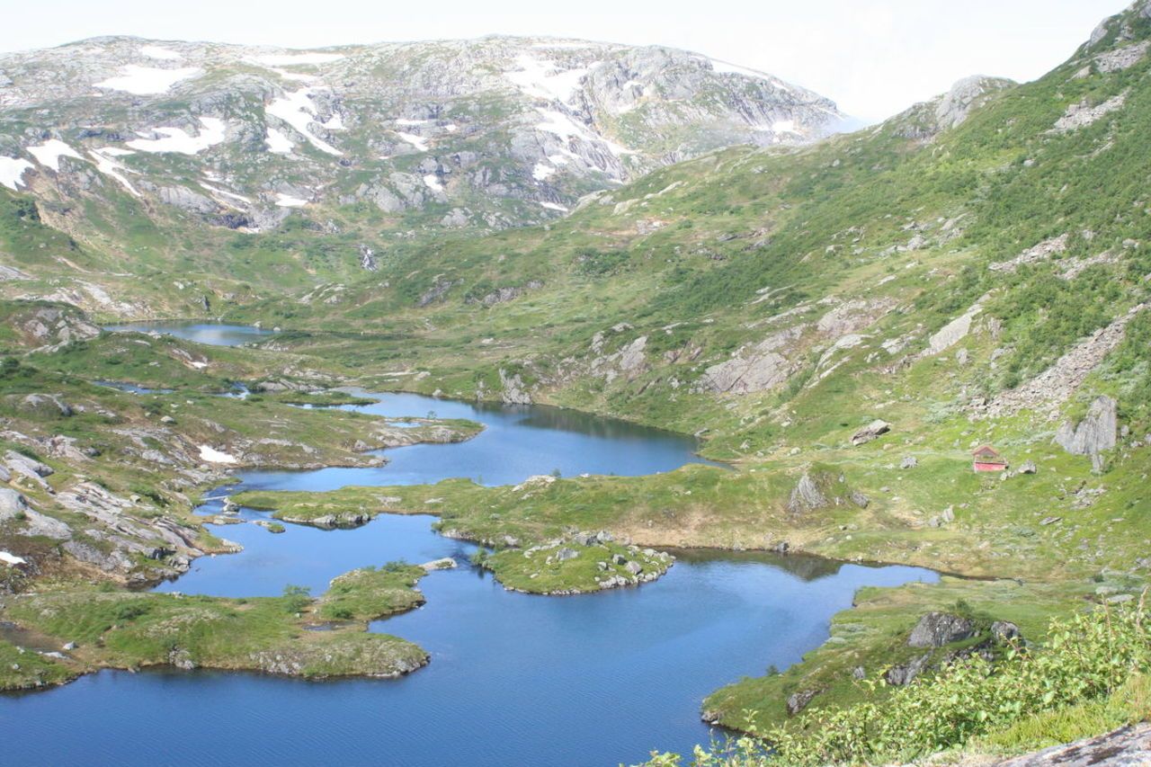 osadal Sveinung Selsvik