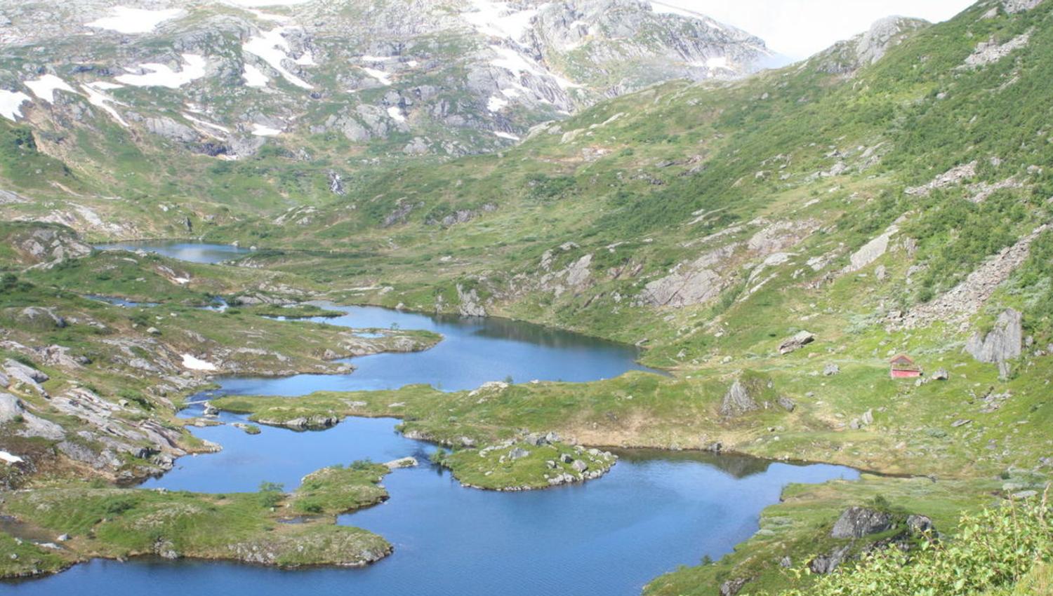 osadal Sveinung Selsvik