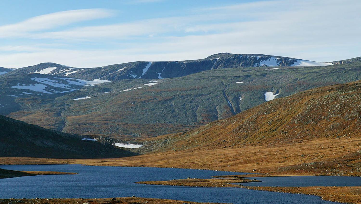 Rasletinden_20050924004