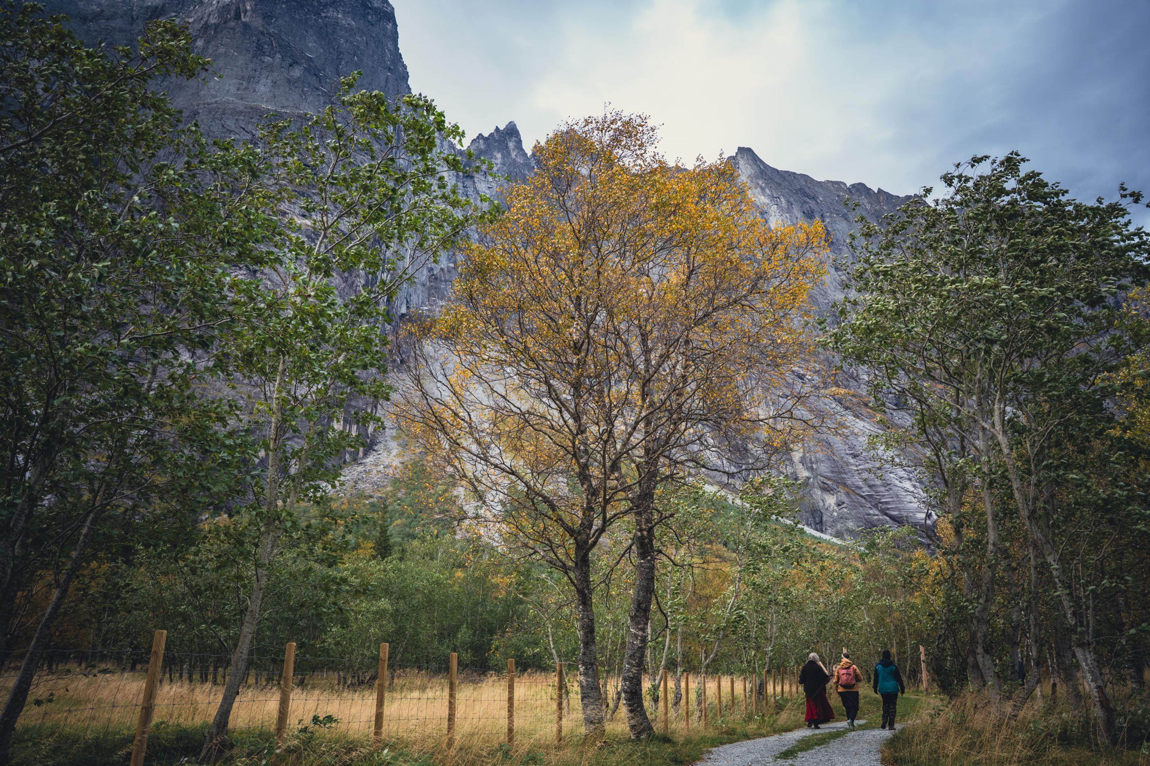 Walking into the Eiafossen nature trail with Trollveggen by your side.