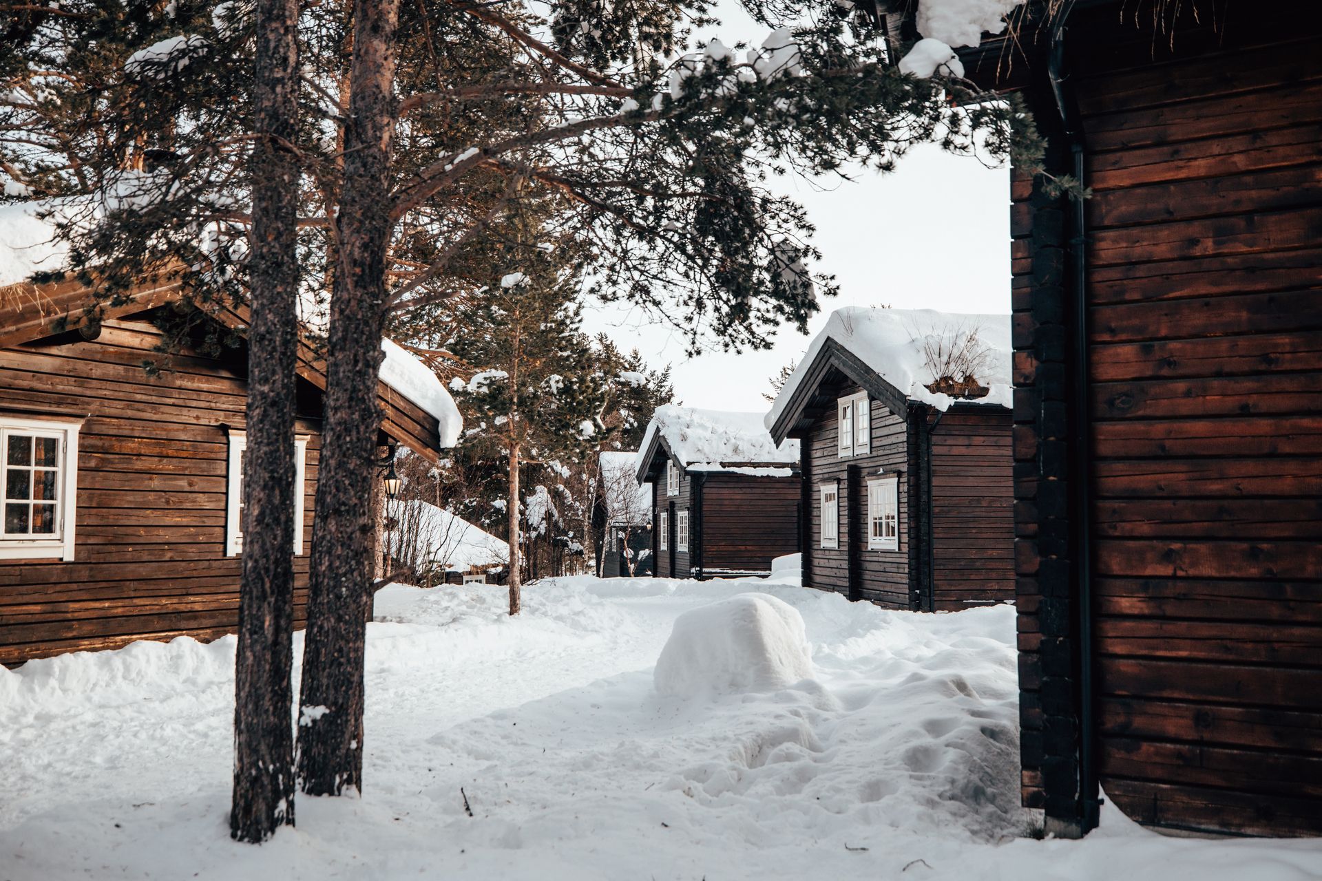 Hytte liggende på Bardøla området og taket dekket med snø