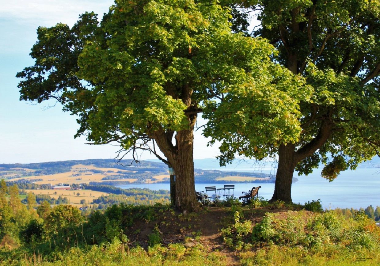 Rundhaugen ved Hilstad gård