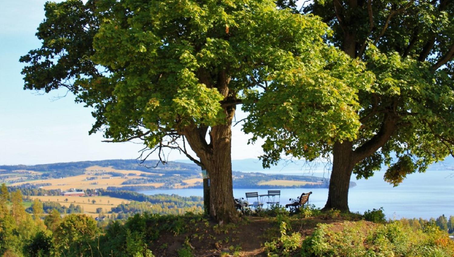 Rundhaugen ved Hilstad gård