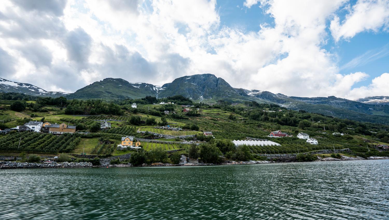Waves meet lush fruit orchards along the Hardangerfjord.