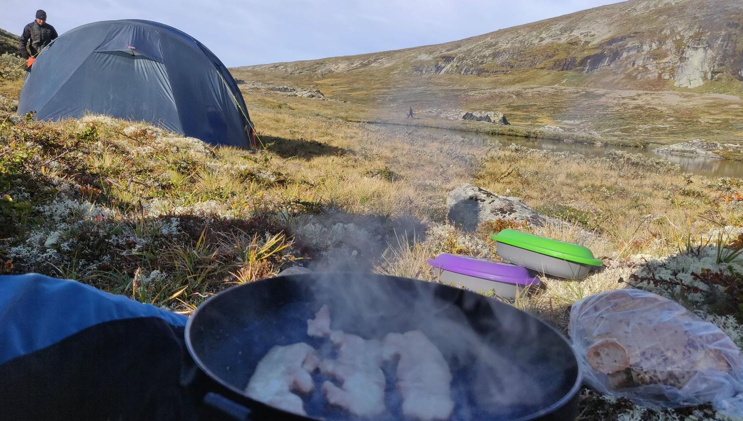 Moskussafari m/personlig guide, 2 dager