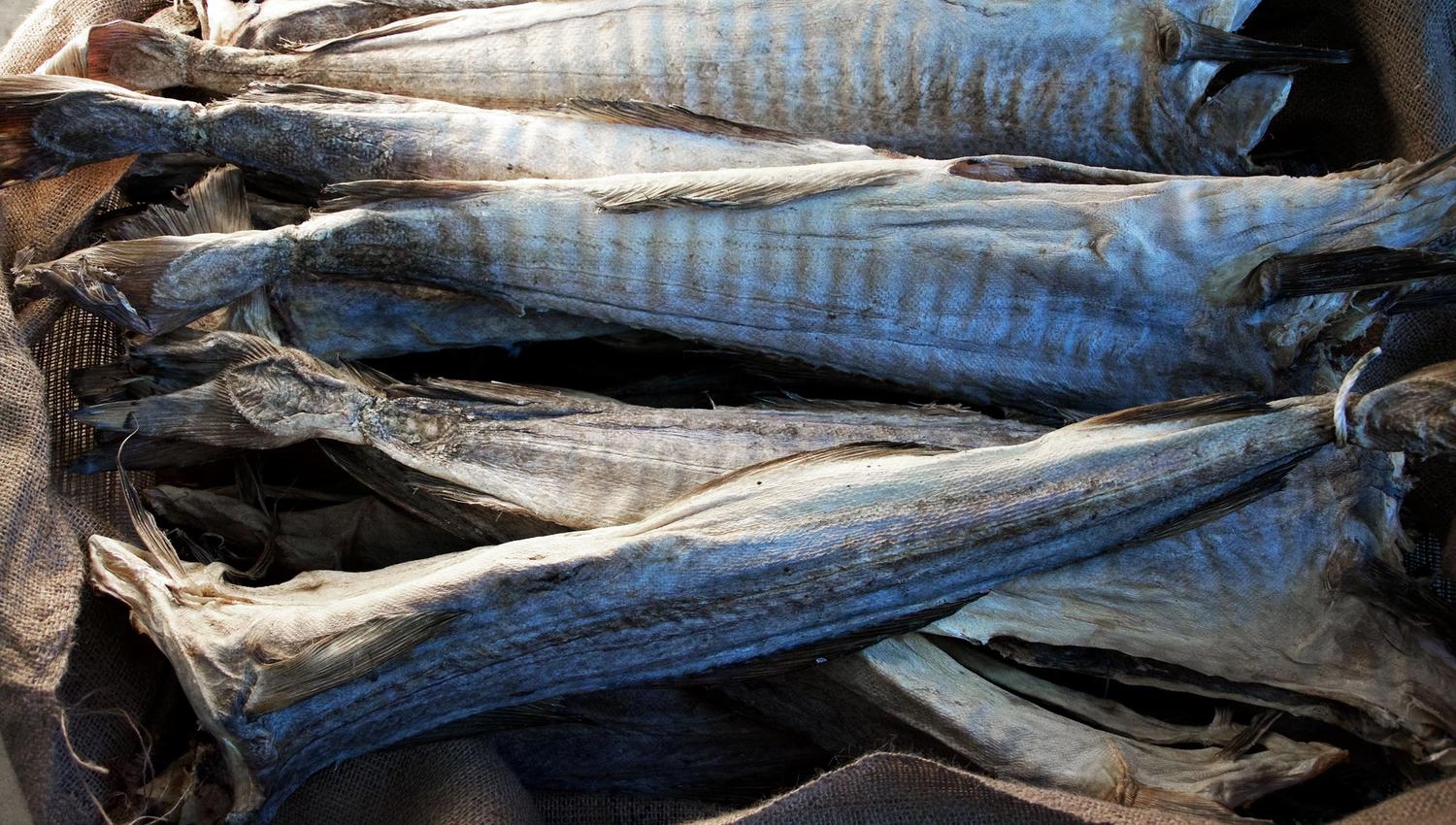 Tørrfisken pakkes og sendes