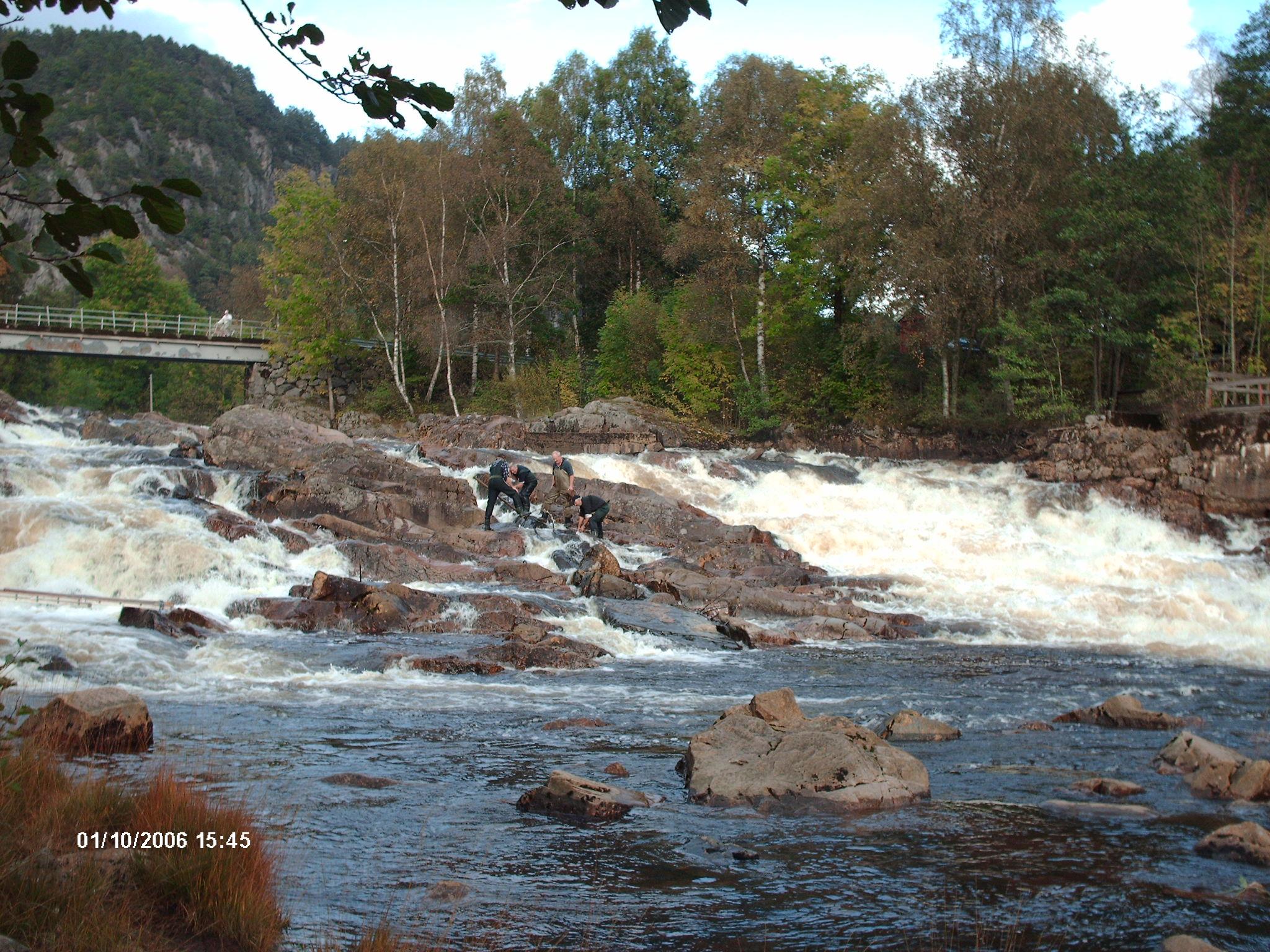Four men fishing in a small waterfall in the river