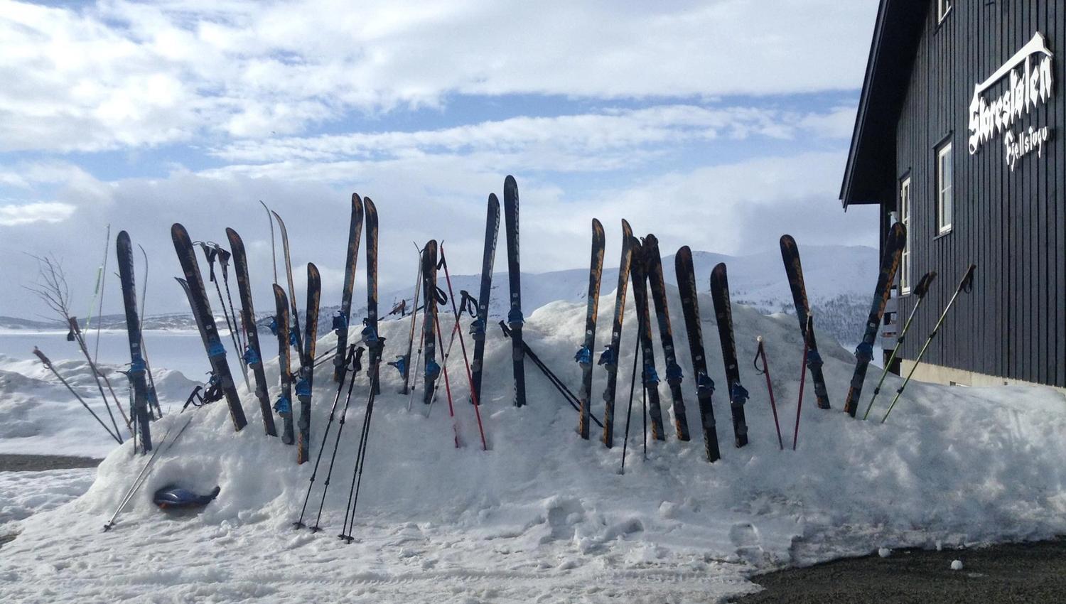 ski