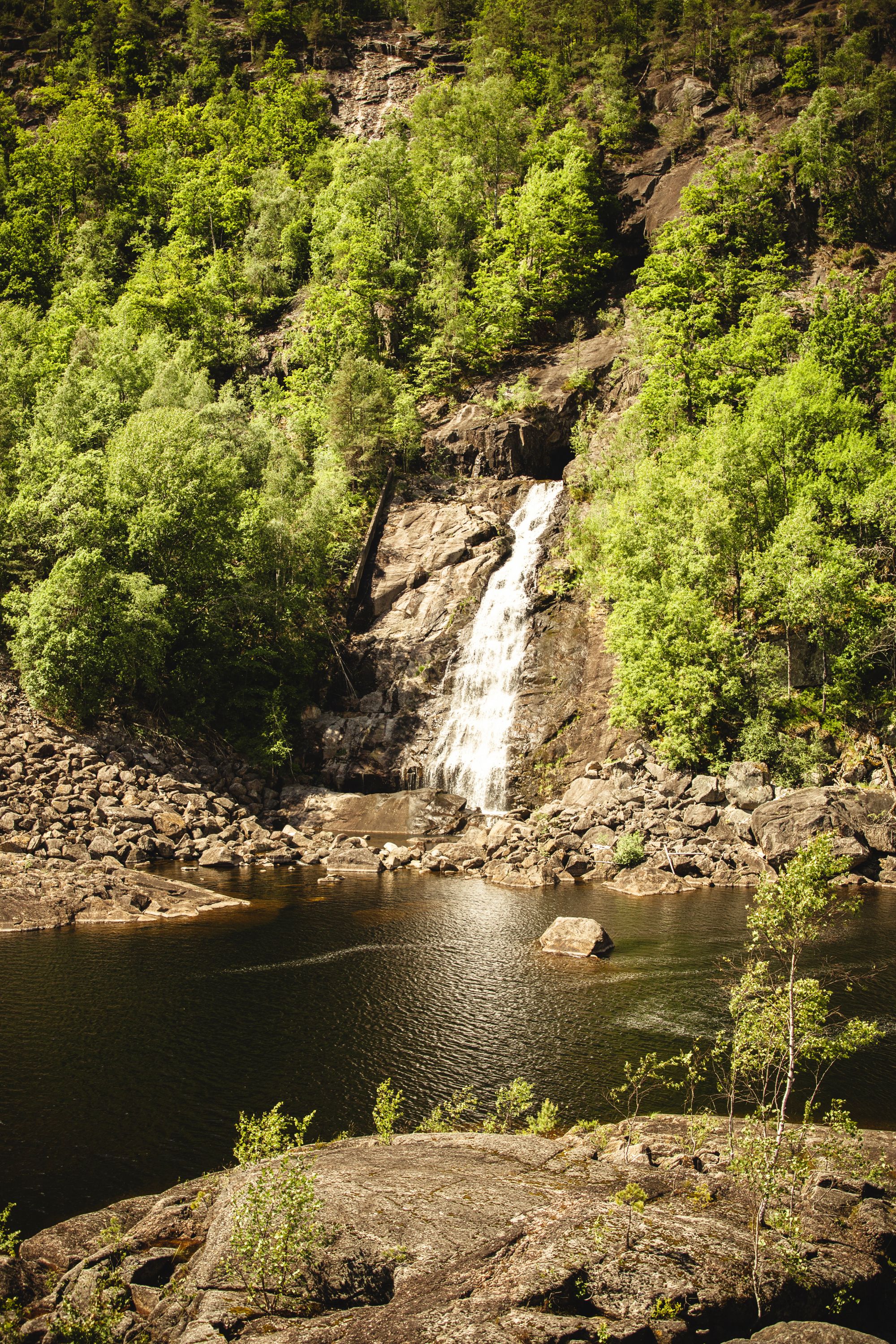 Tømmerenna Vennesla