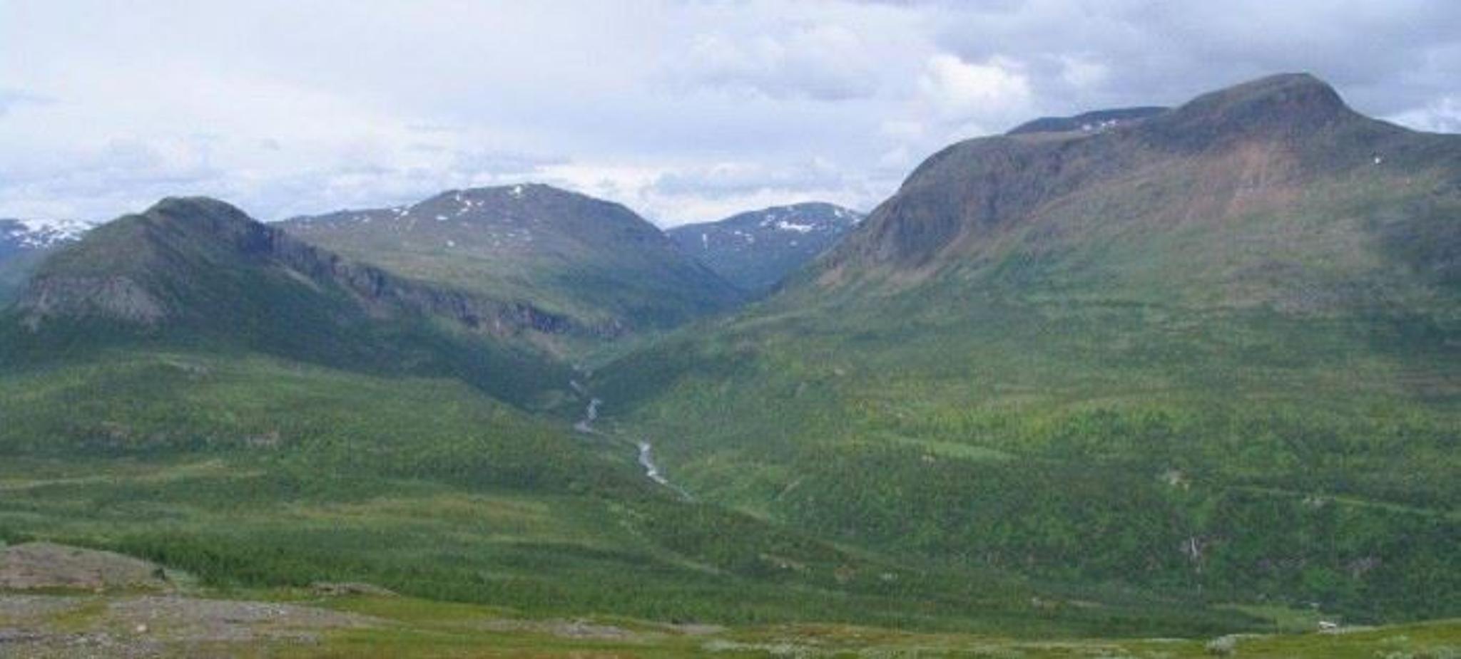 Junkerdal nasjonalpark