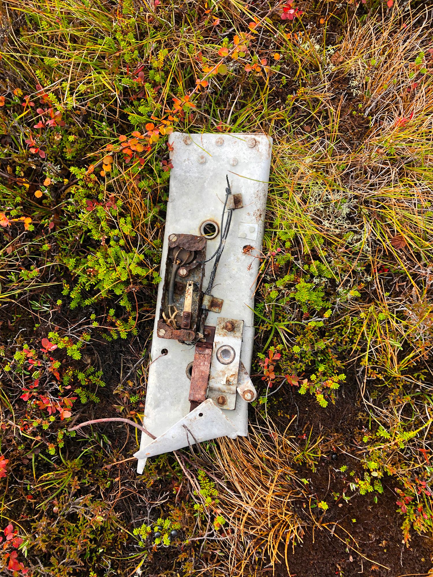 Snåsa Plukktjønnfjellet tur 2021 Foto Linn Marita Larsson (14)