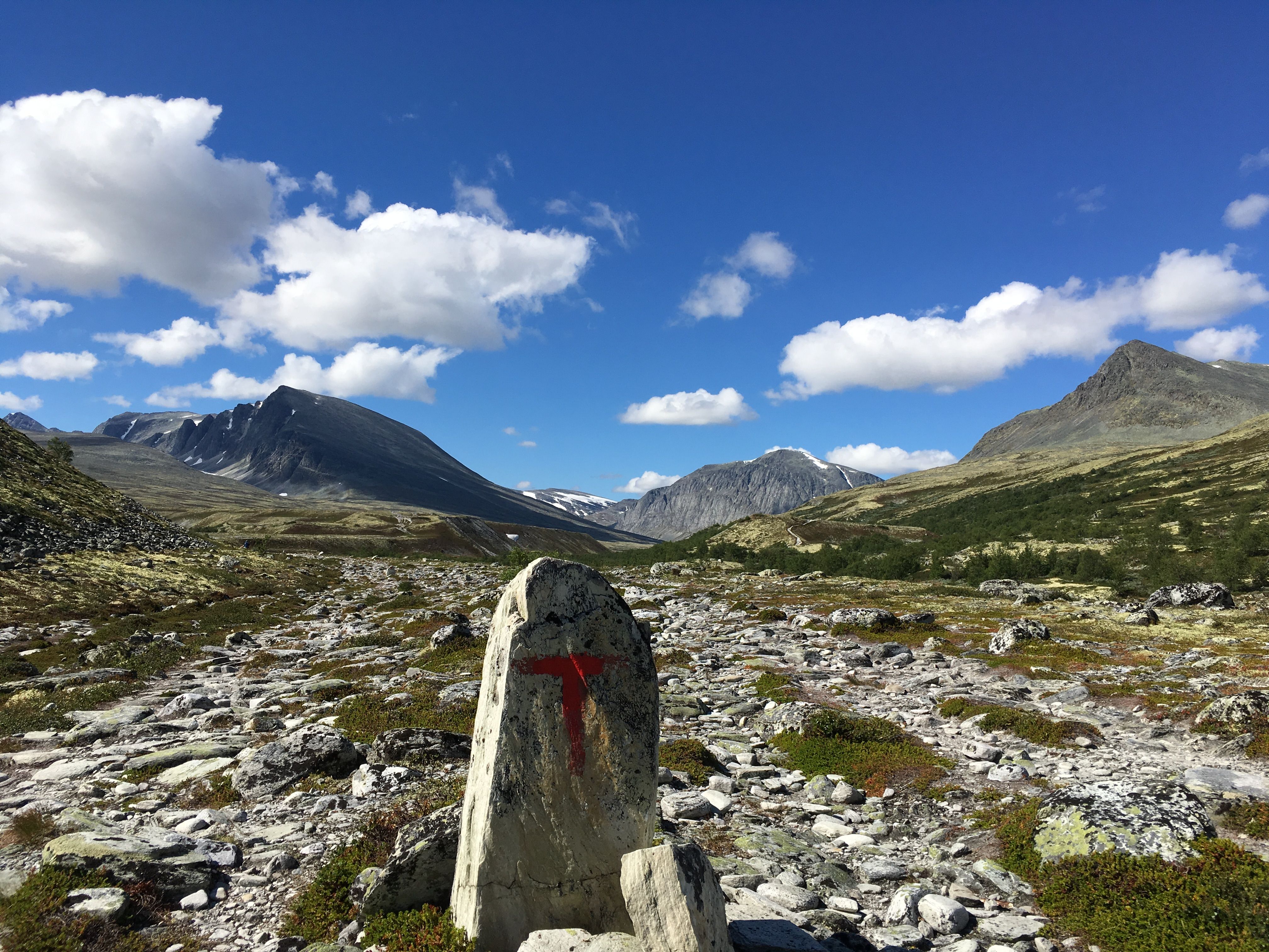 Rondane Mountain view near Døralseter | Venabu Fjellhotell