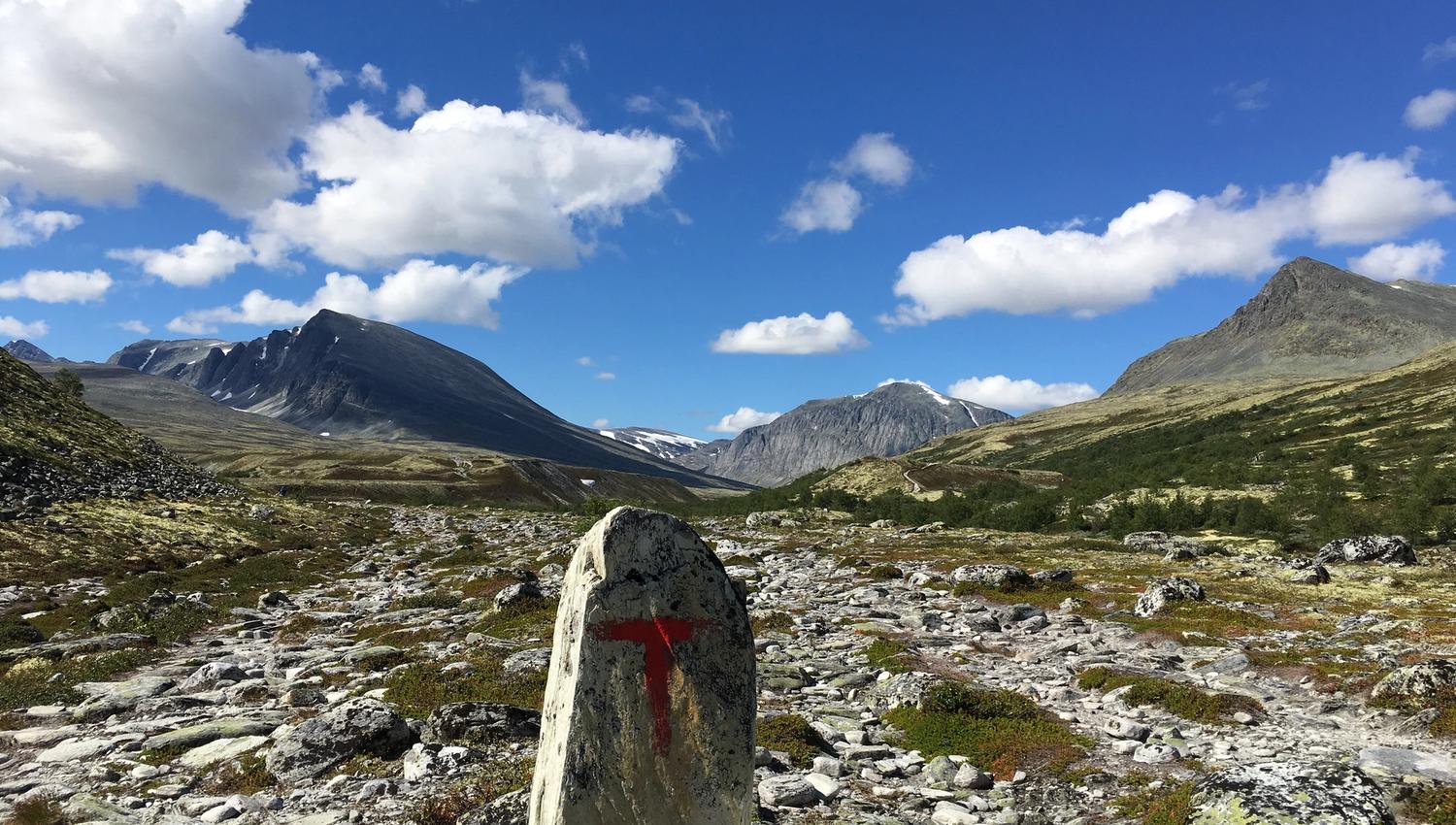 Rondane Mountain view near Døralseter | Venabu Fjellhotell