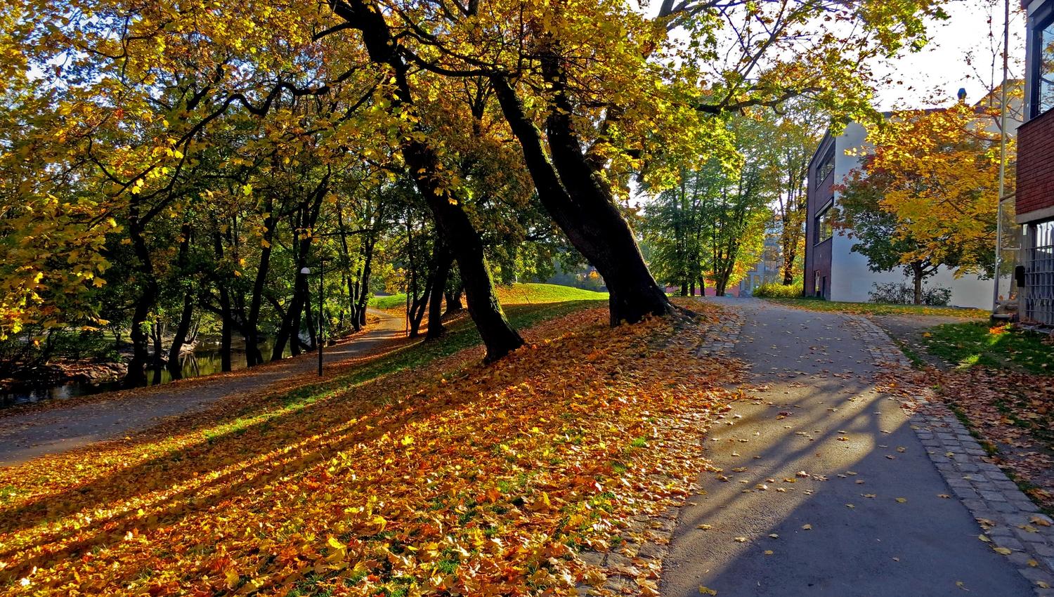 høst langs akerselva