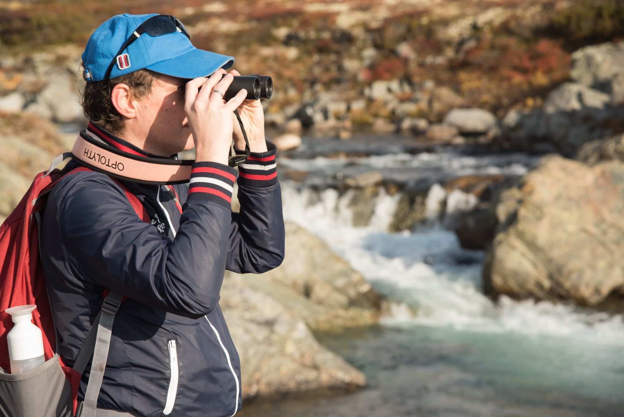 Moskussafari med personlig guide