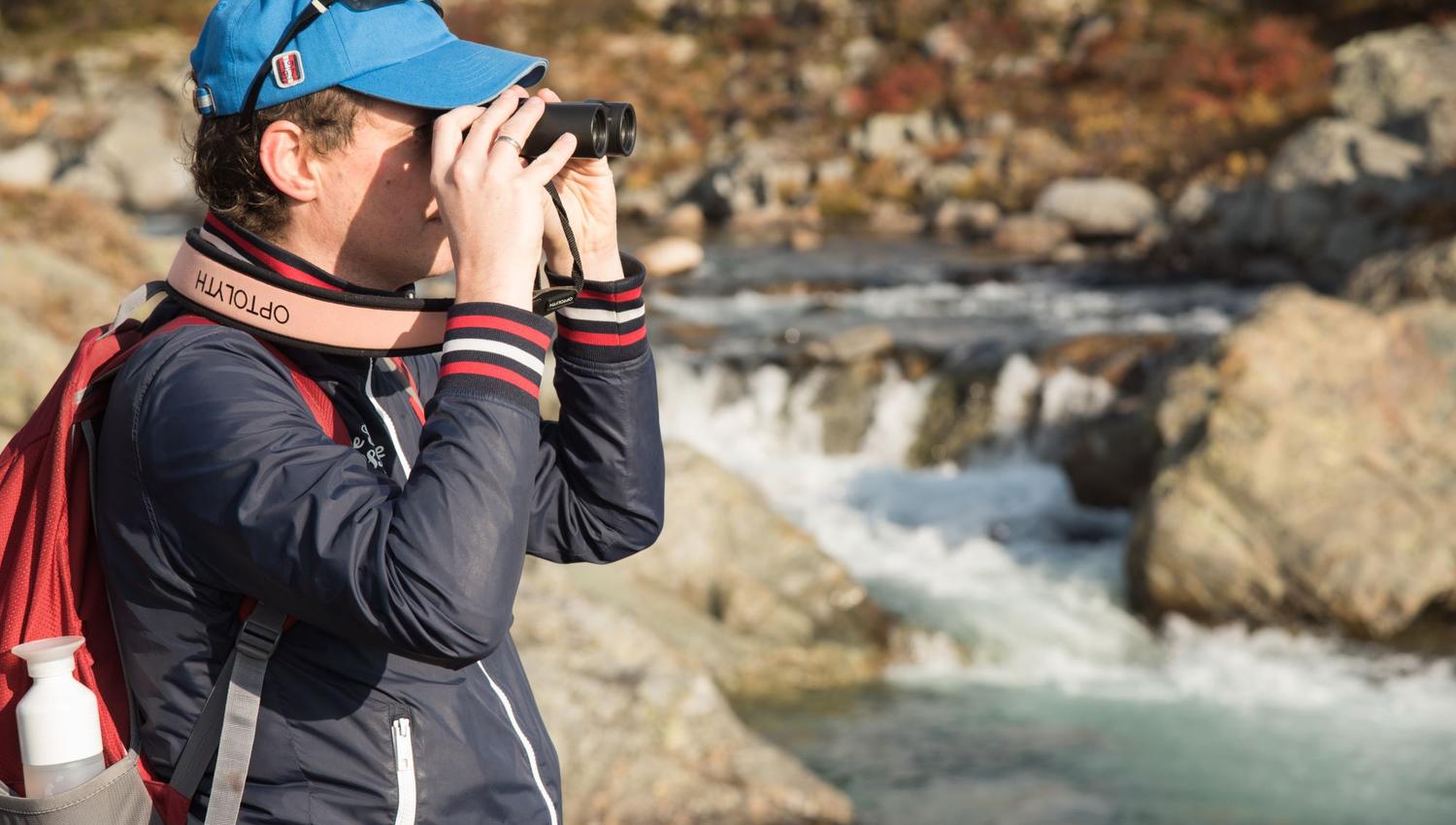 Moskussafari med personlig guide