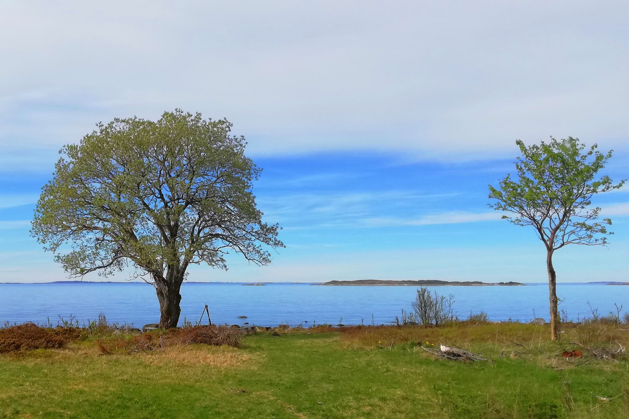Følvika - a northern retreat