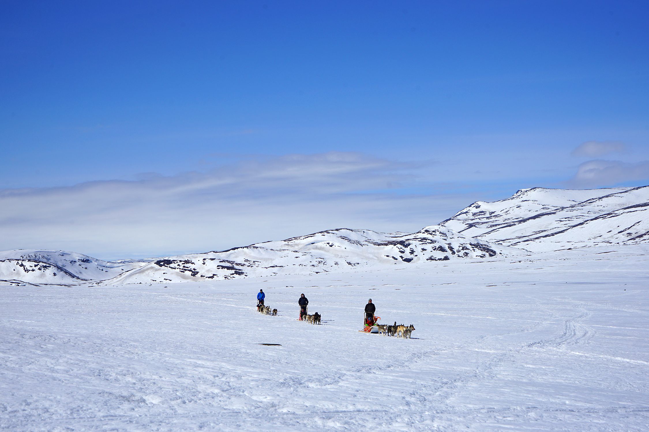 Hundespann i flotte omgivelser på Valdresflye.