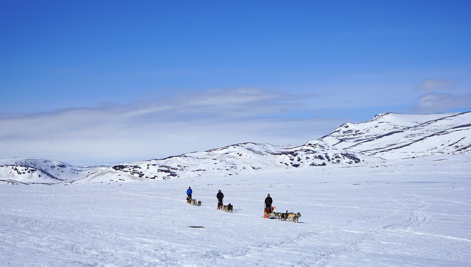 Hundespann i flotte omgivelser på Valdresflye.
