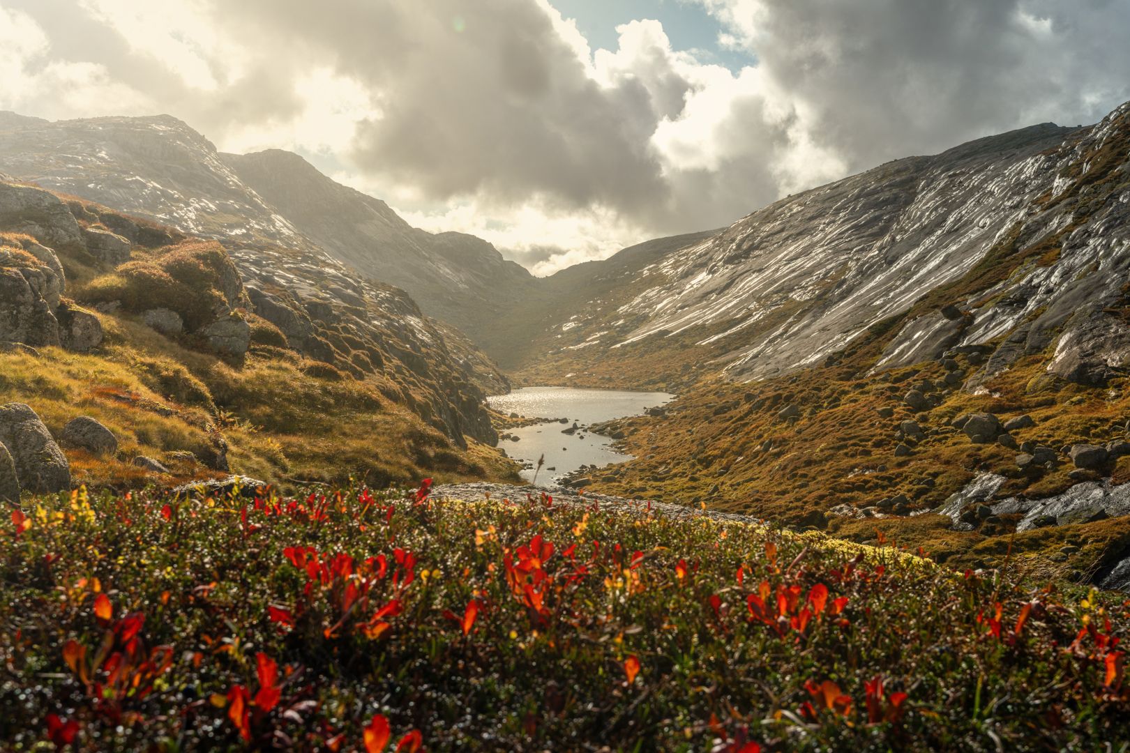 Words become redundant