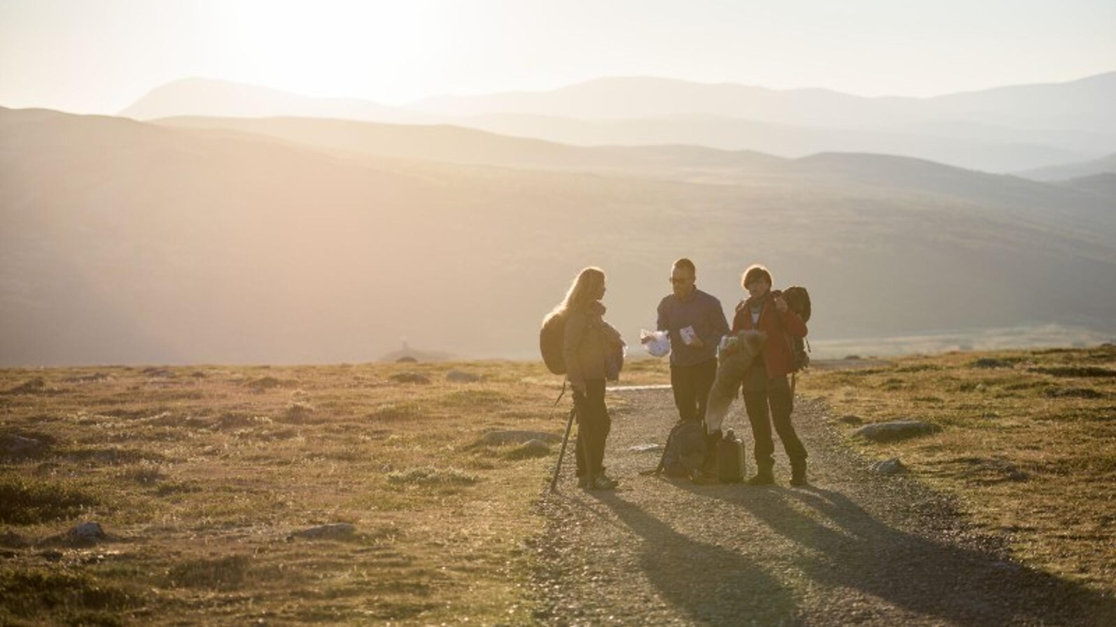 Hiking at Hjerkinn  Dovre