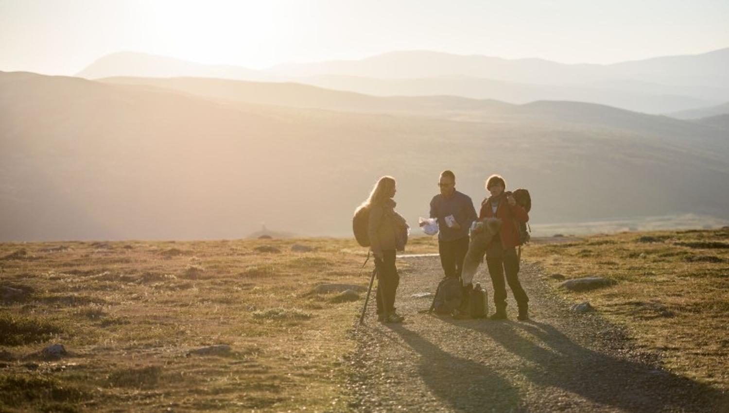 Hiking at Hjerkinn Dovre
