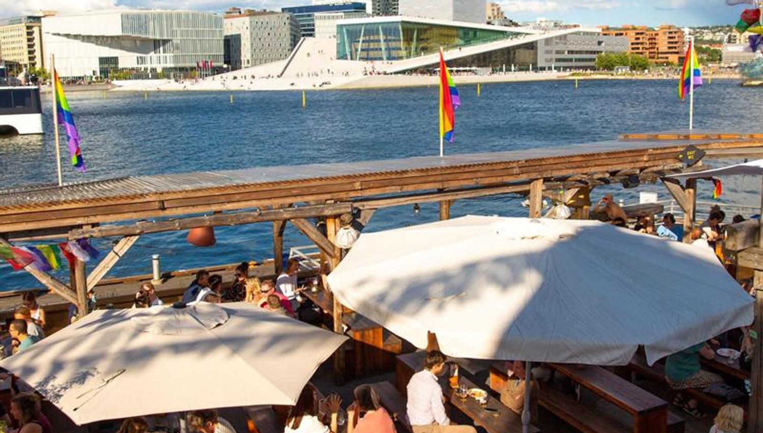 the outdoor area at SALT with guests and a view of the opera house on a sunny day
