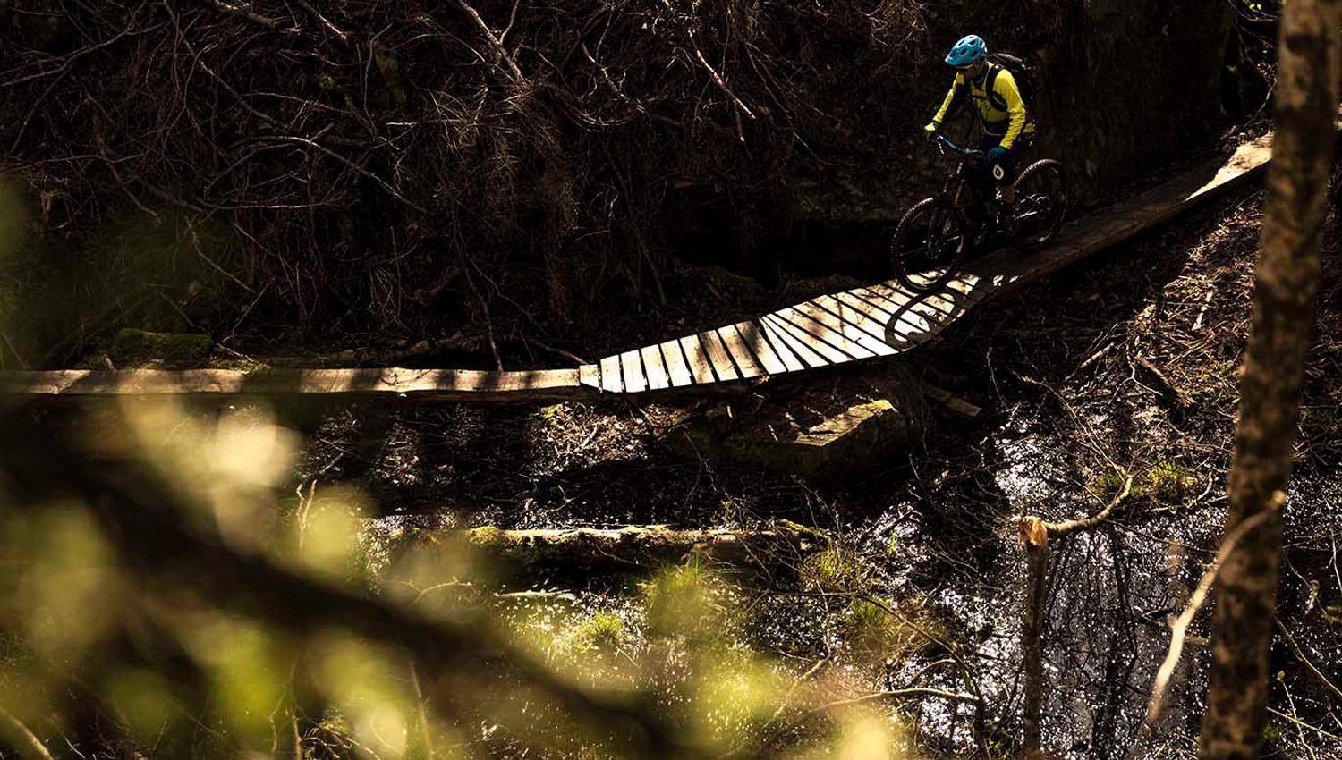 Tungvekteren by Arendal Singletrack