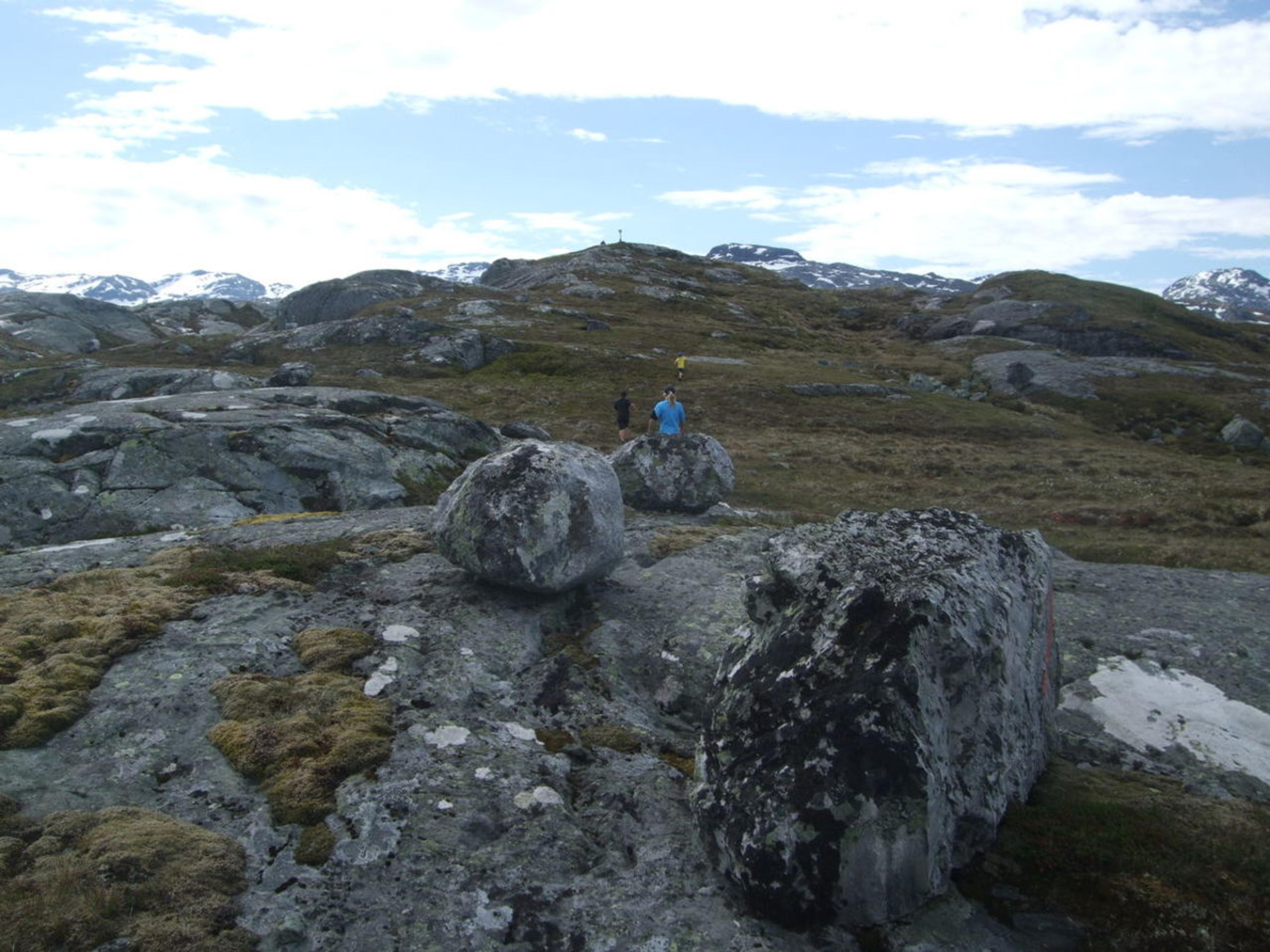 Opp til Såta, Sveinung Selsvik