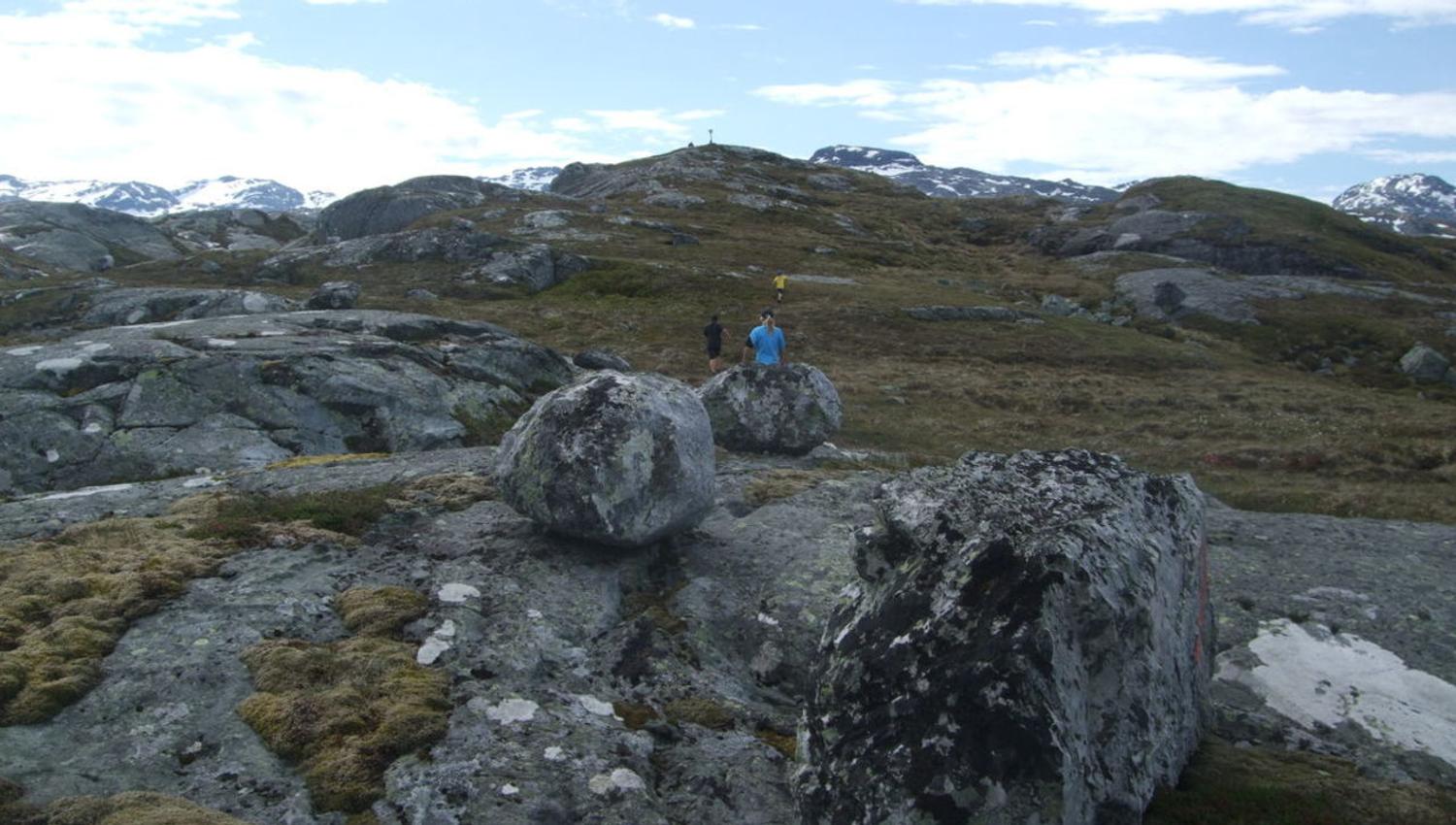 Opp til Såta, Sveinung Selsvik