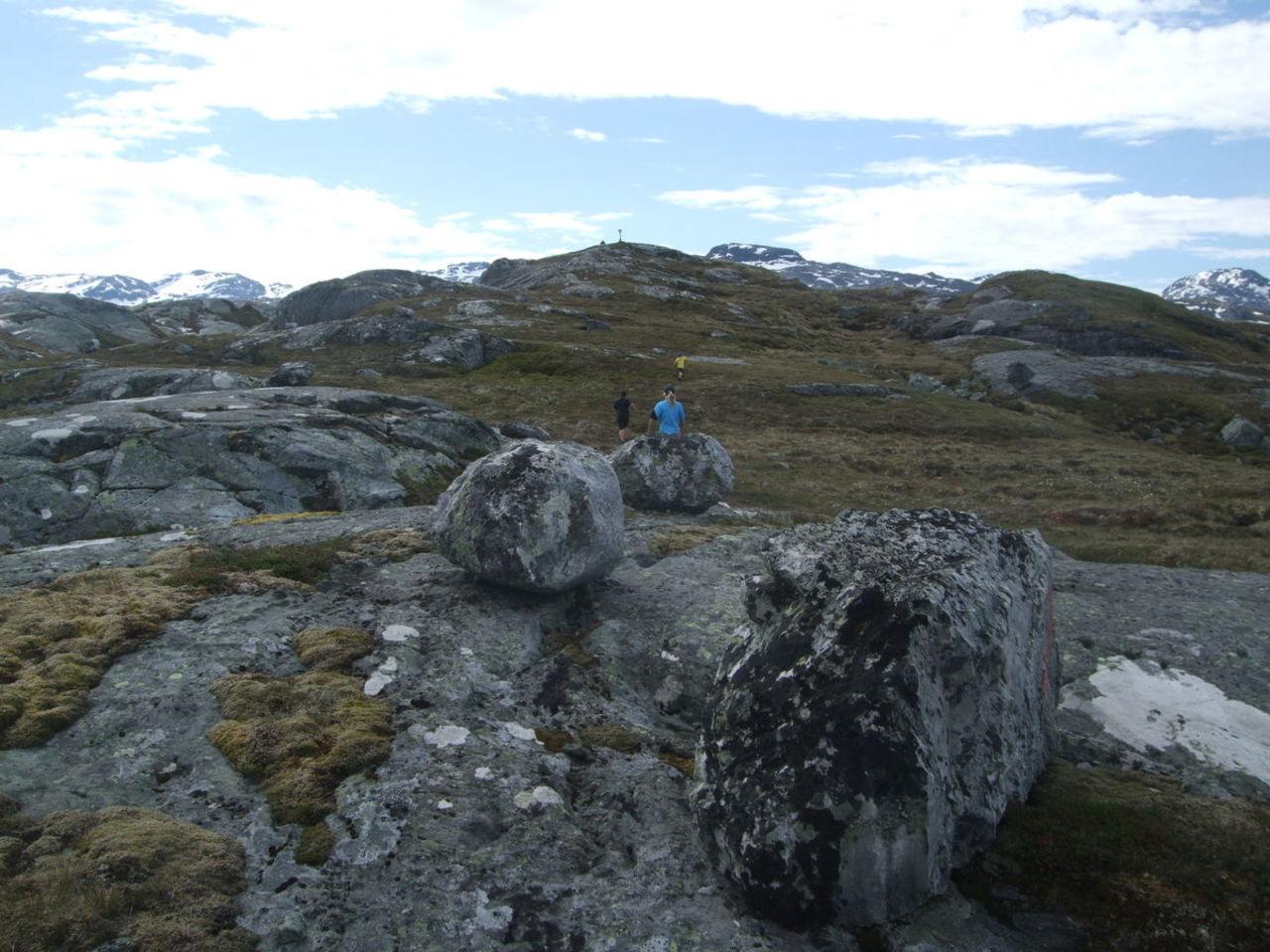 Opp til Såta, Sveinung Selsvik