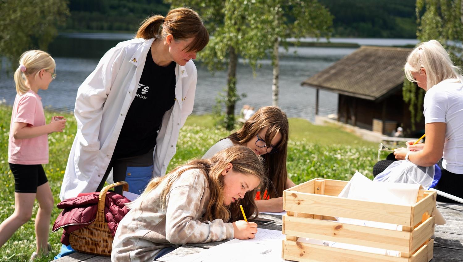 Dokkadeltaet Nasjonale Våtmarkssenter. Randsfjorden. Insektdag i 2025