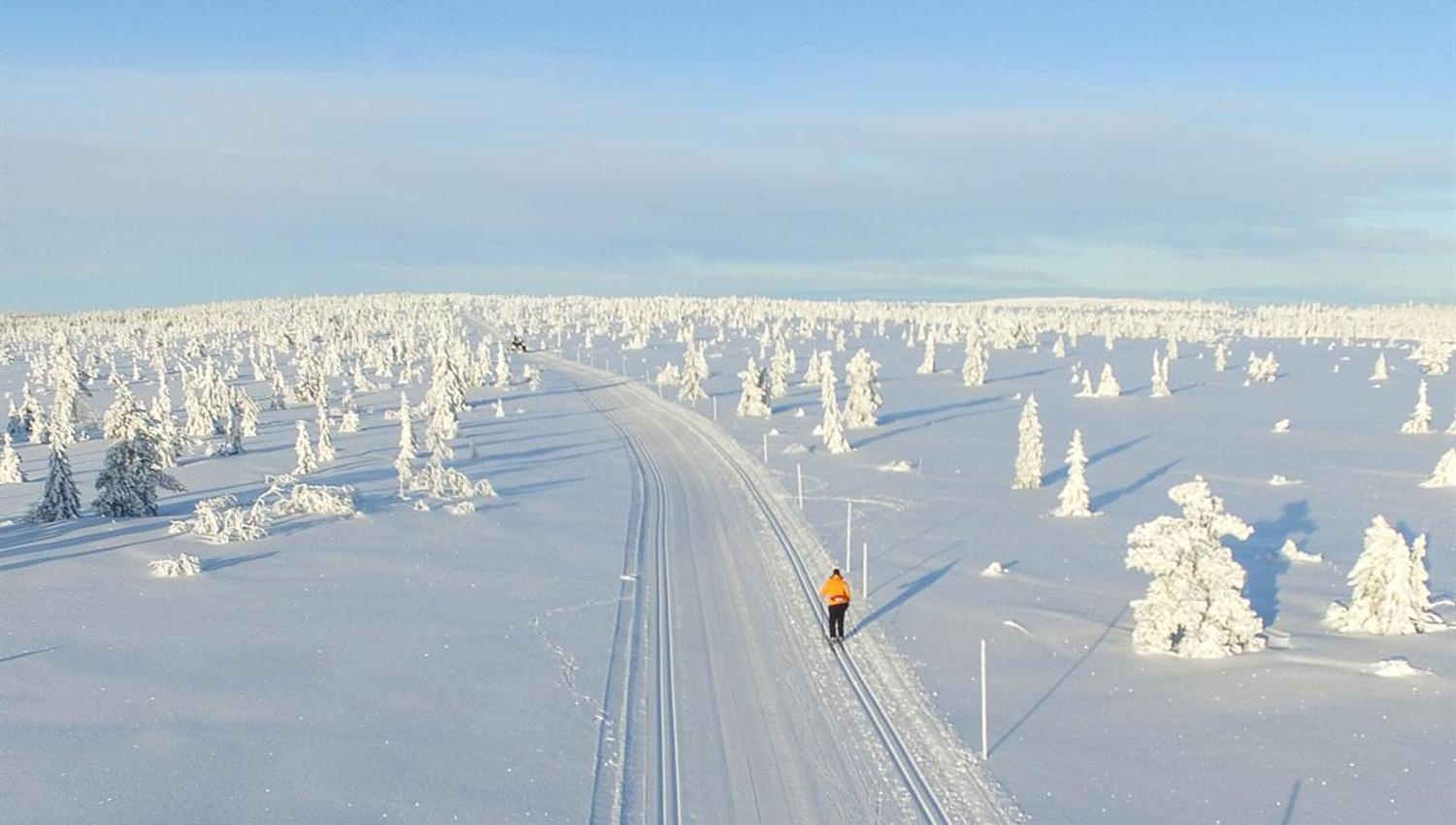 En langstrakt skisportrase gjennom et snødekket vinterlandskap, omgitt av trær helt dekket av snø.