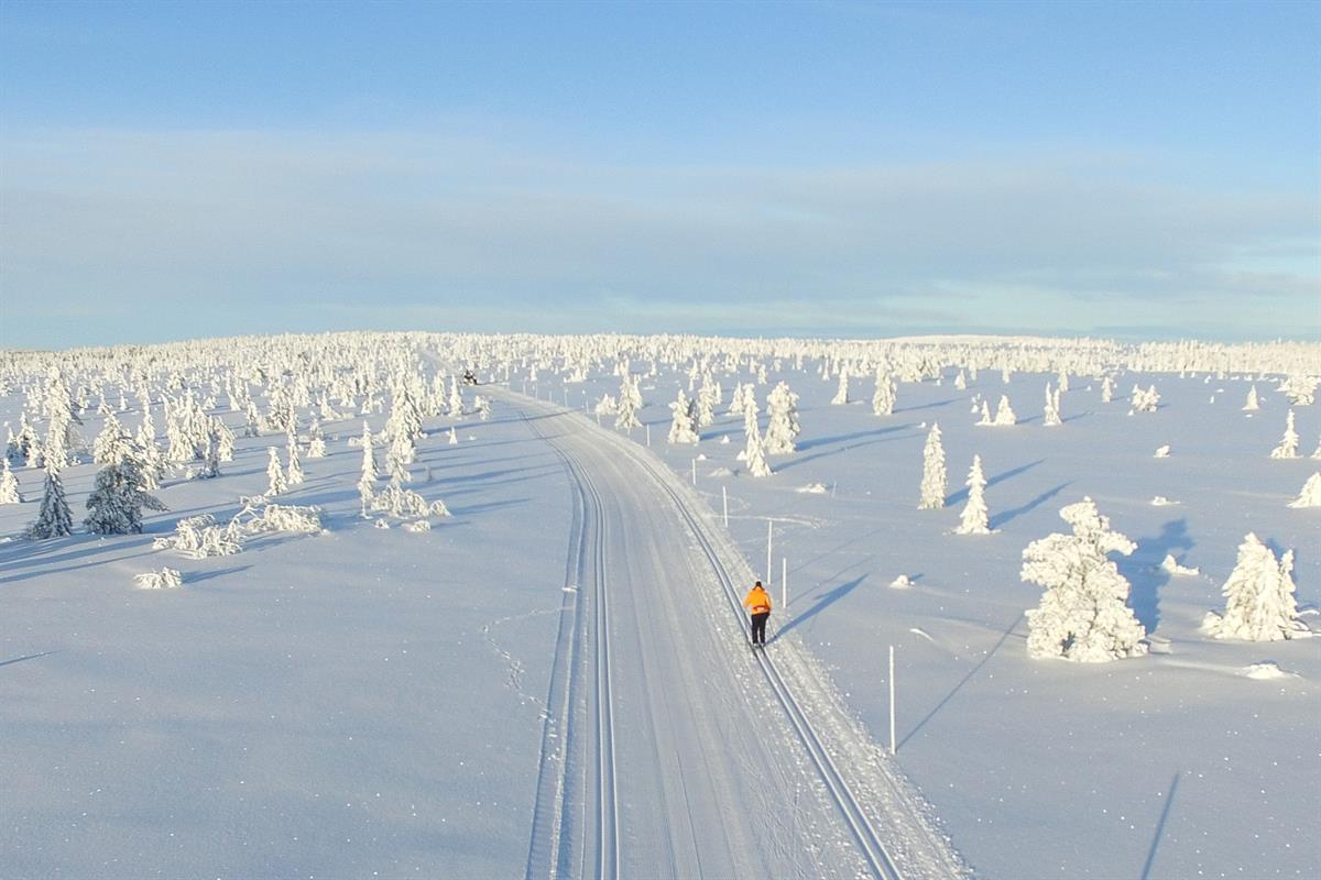A long cross-country ski trail stretching through a snowy winter landscape, surrounded by snow‑covered trees.