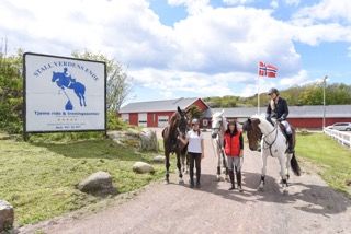 Hester og ryttere på gården