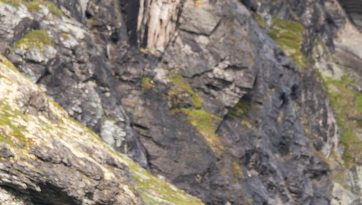 Moskussafari m/personlig guide, 2 dager