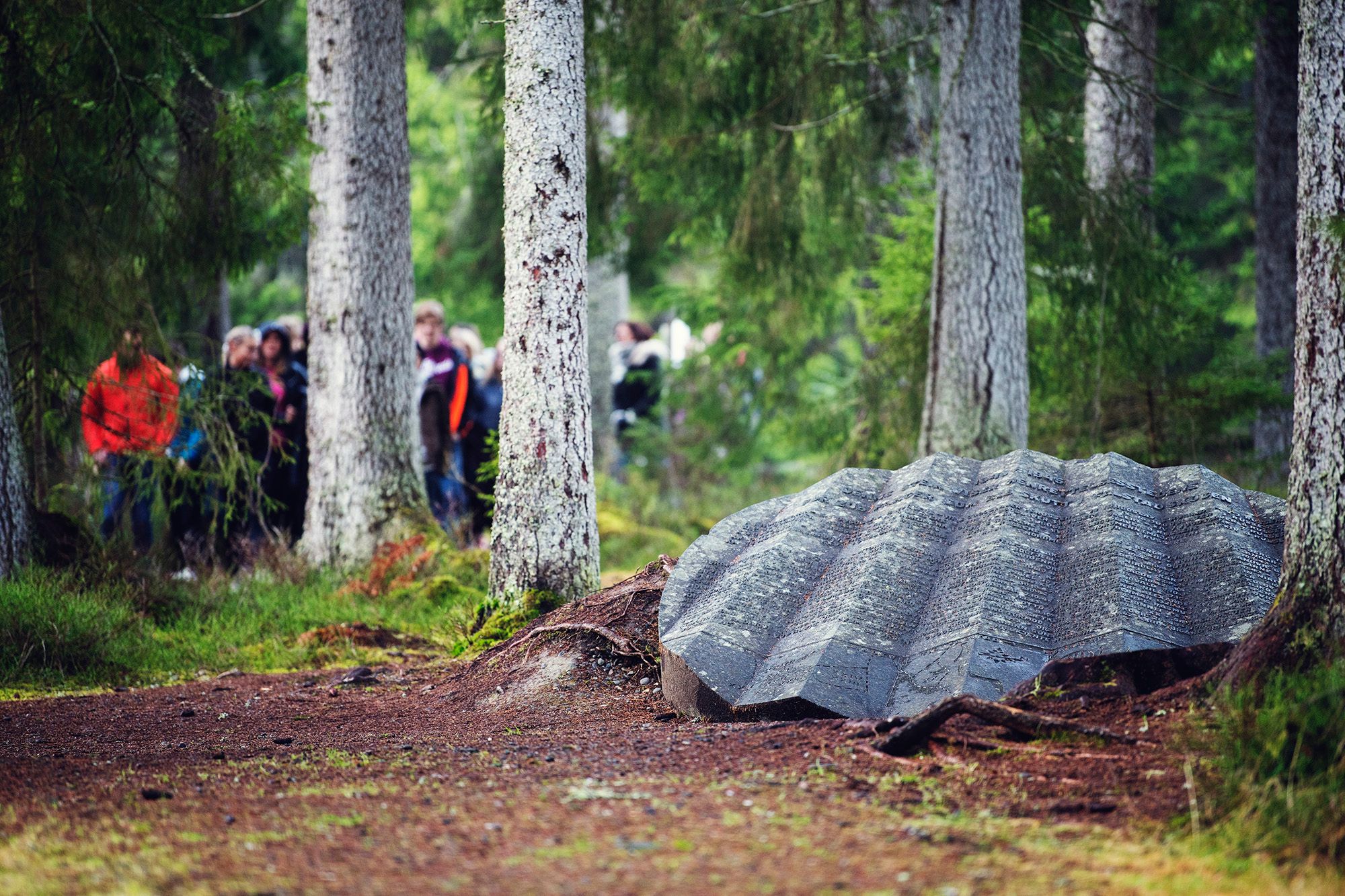 Omvisning i Falstadskogen