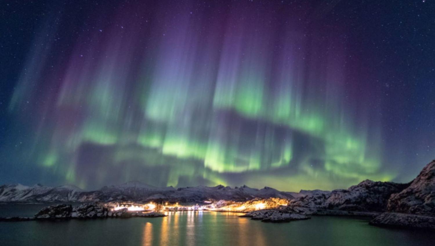 Nordlys over Senja