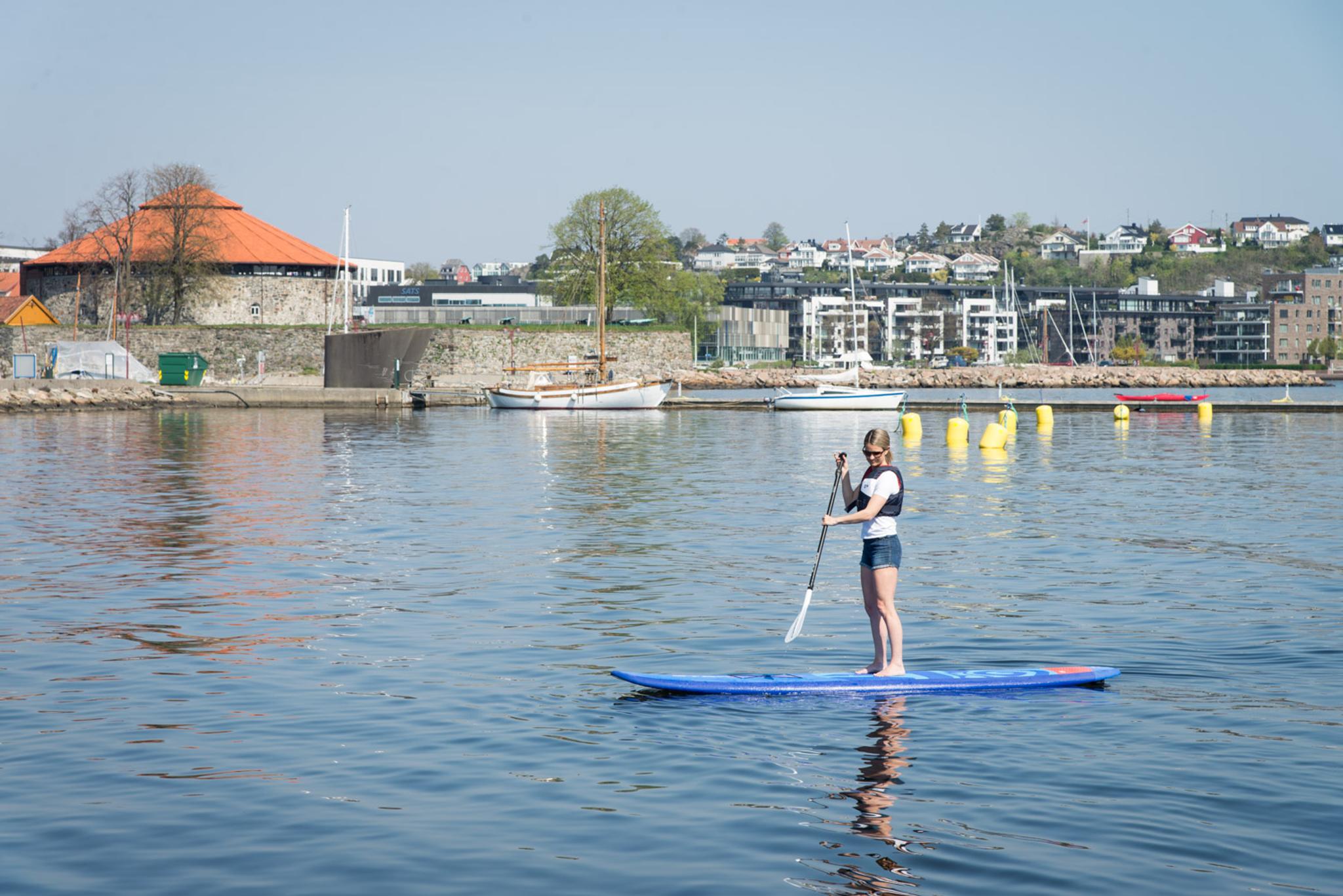 SUP-brett til utleie i Odderøya museumshavn