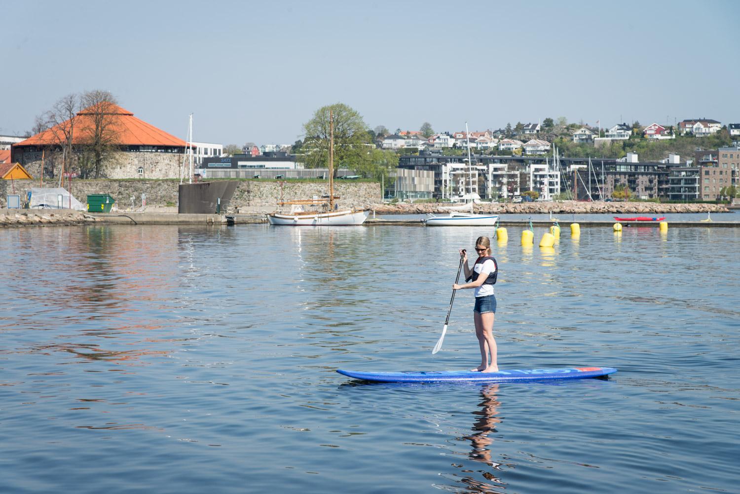 SUP-brett til utleie i Odderøya museumshavn